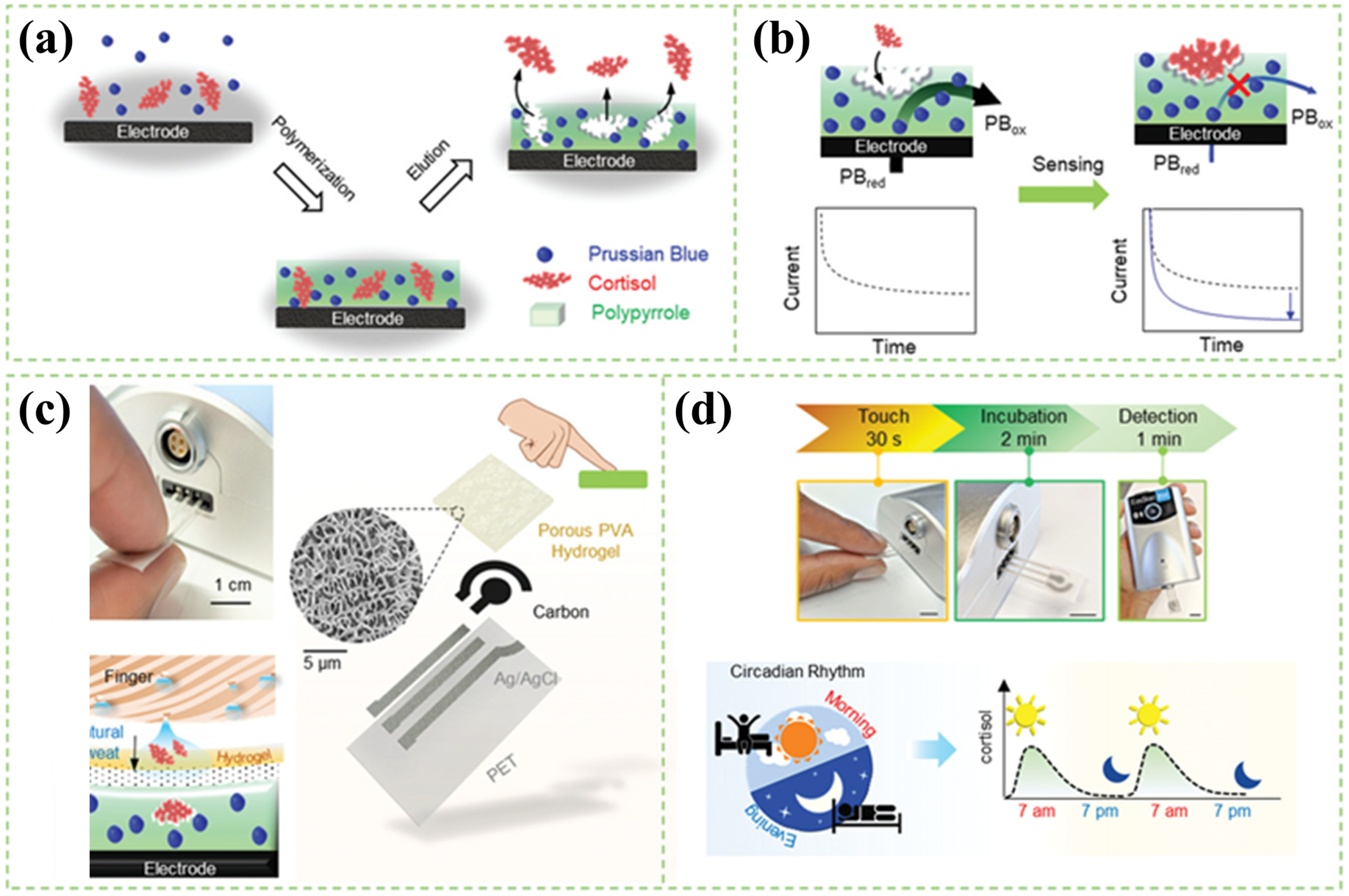Chemosensors 11 00090 g003