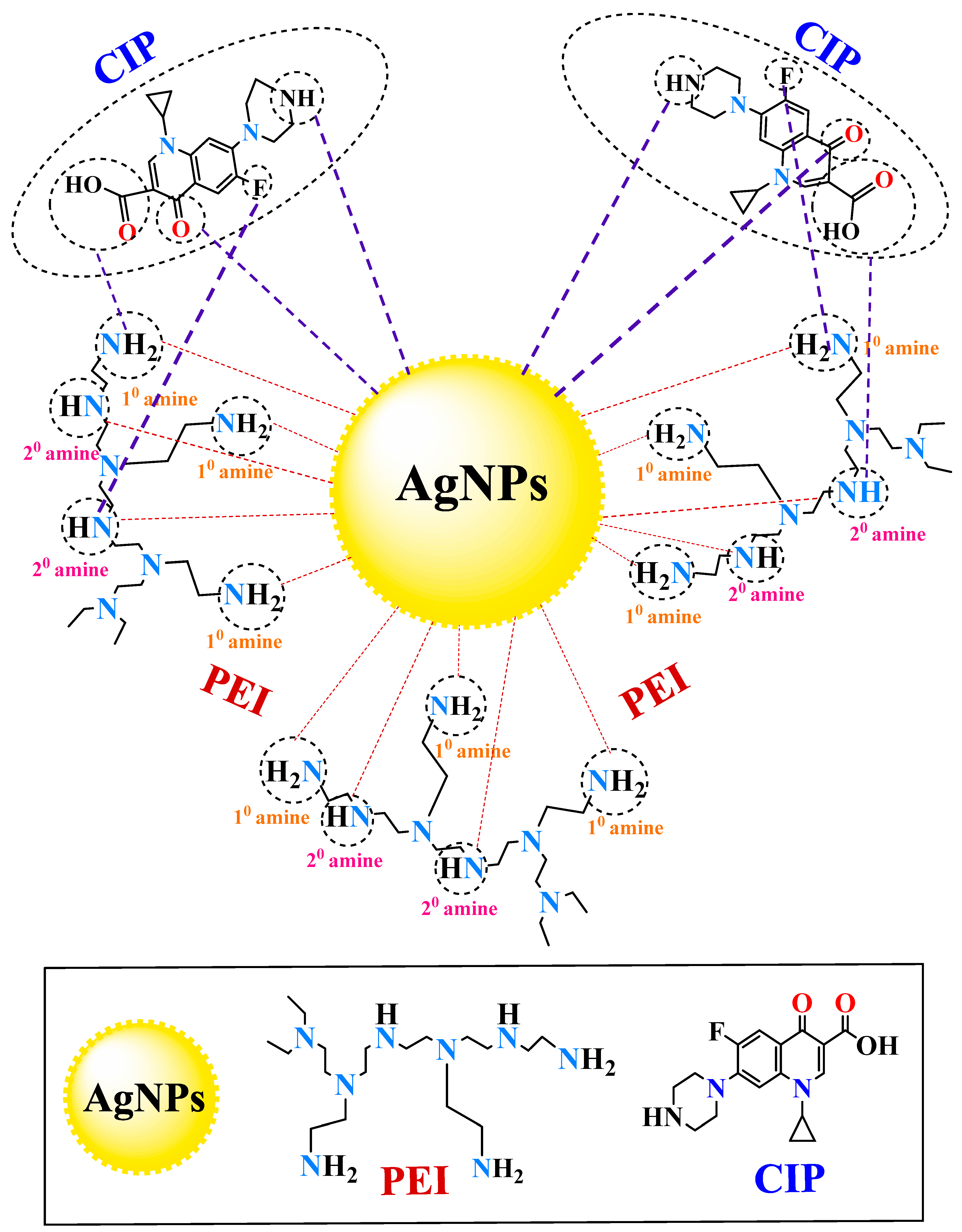 Chemosensors 11 00091 sch001