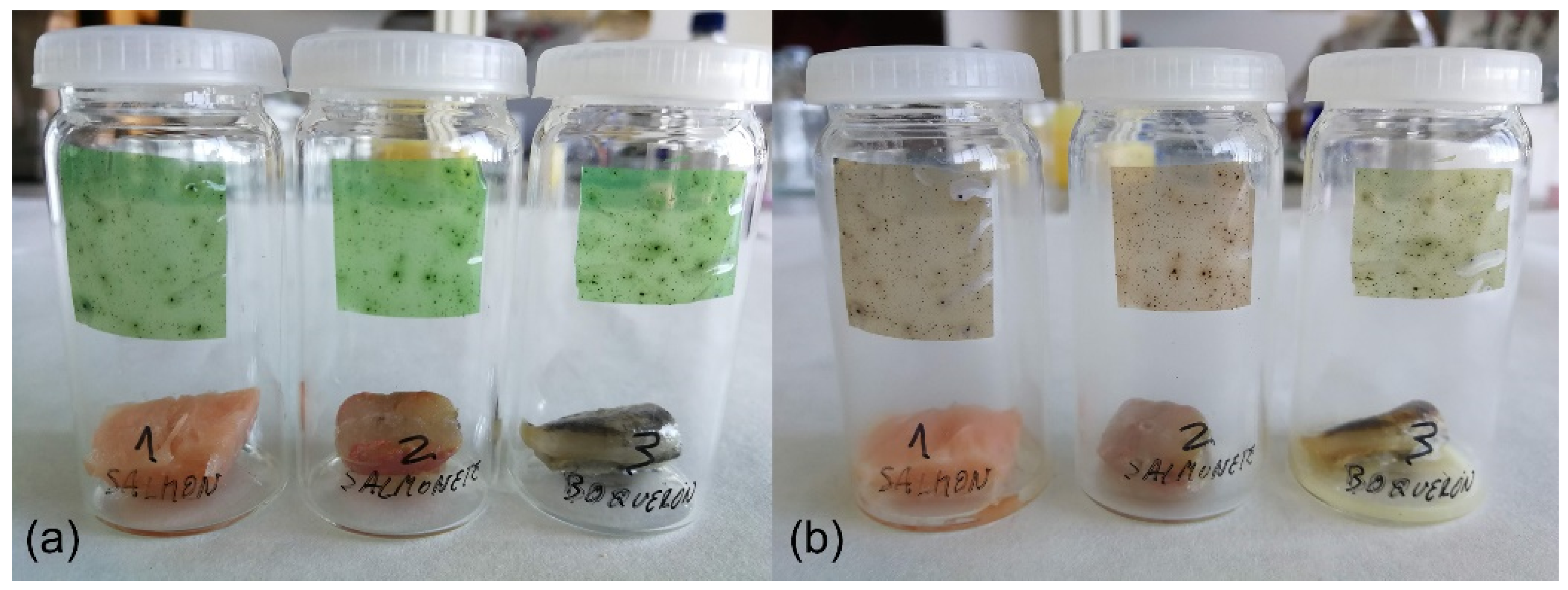 Chemosensors 11 00092 g007
