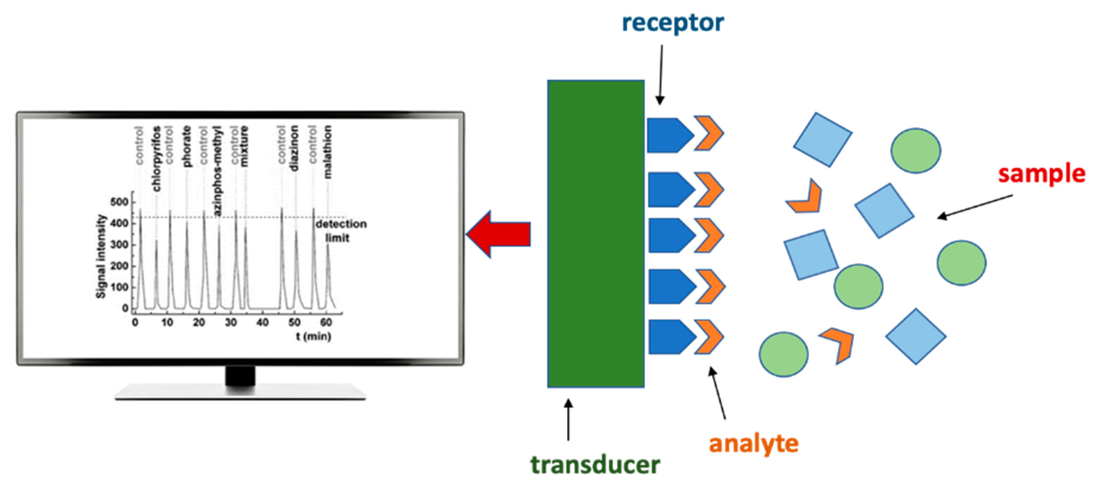 Chemosensors 11 00093 g001