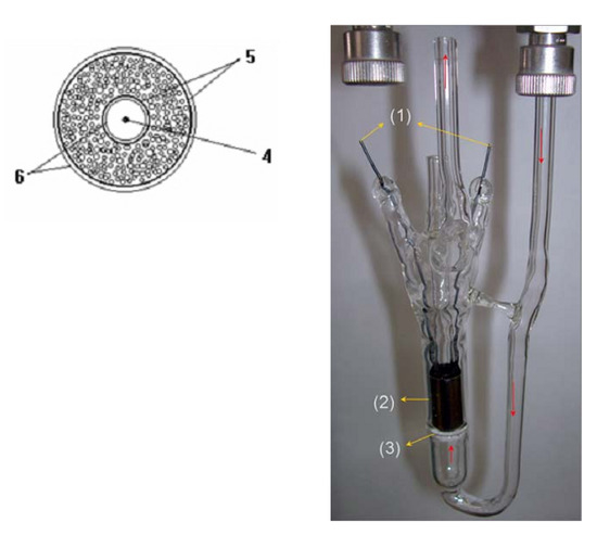 Chemosensors 11 00095 g006