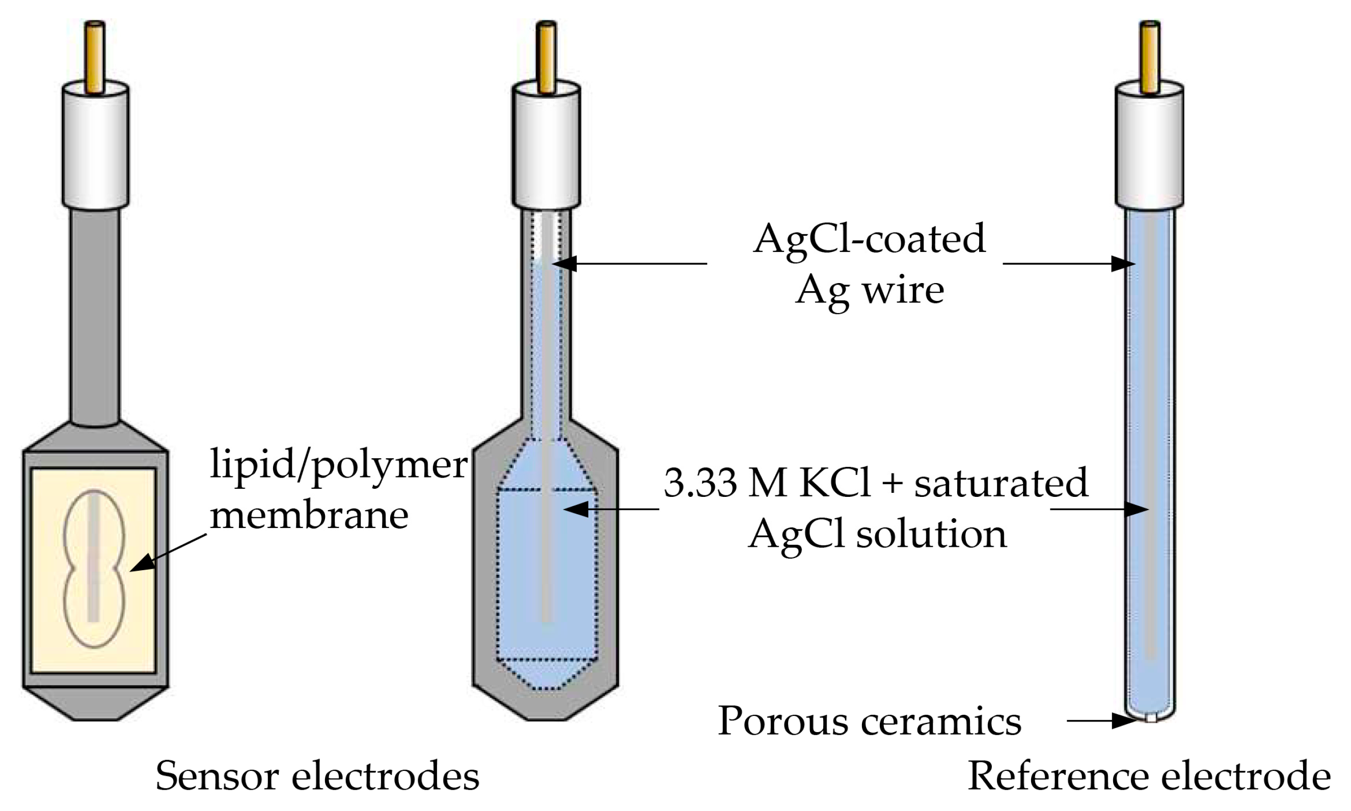 Chemosensors 11 00097 g002 Chemosensors 11 00097 g002