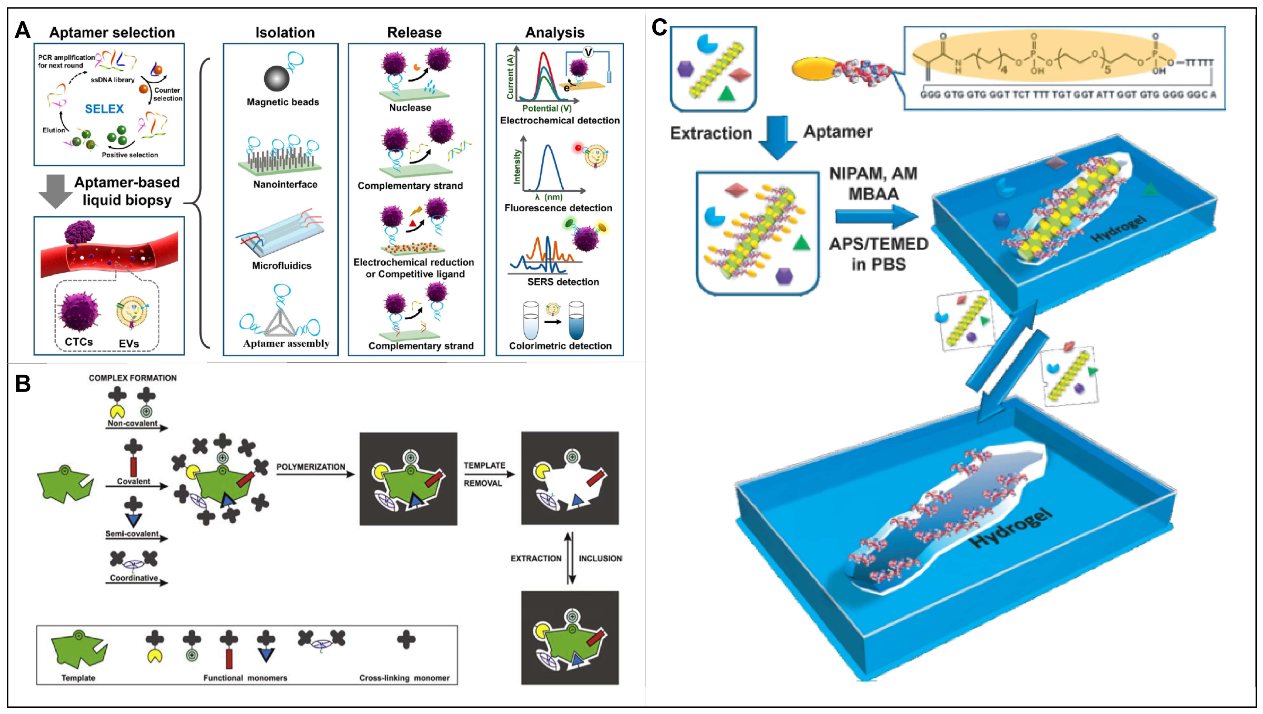 Chemosensors 11 00099 g002