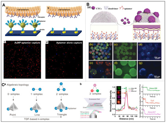 Chemosensors 11 00099 g003