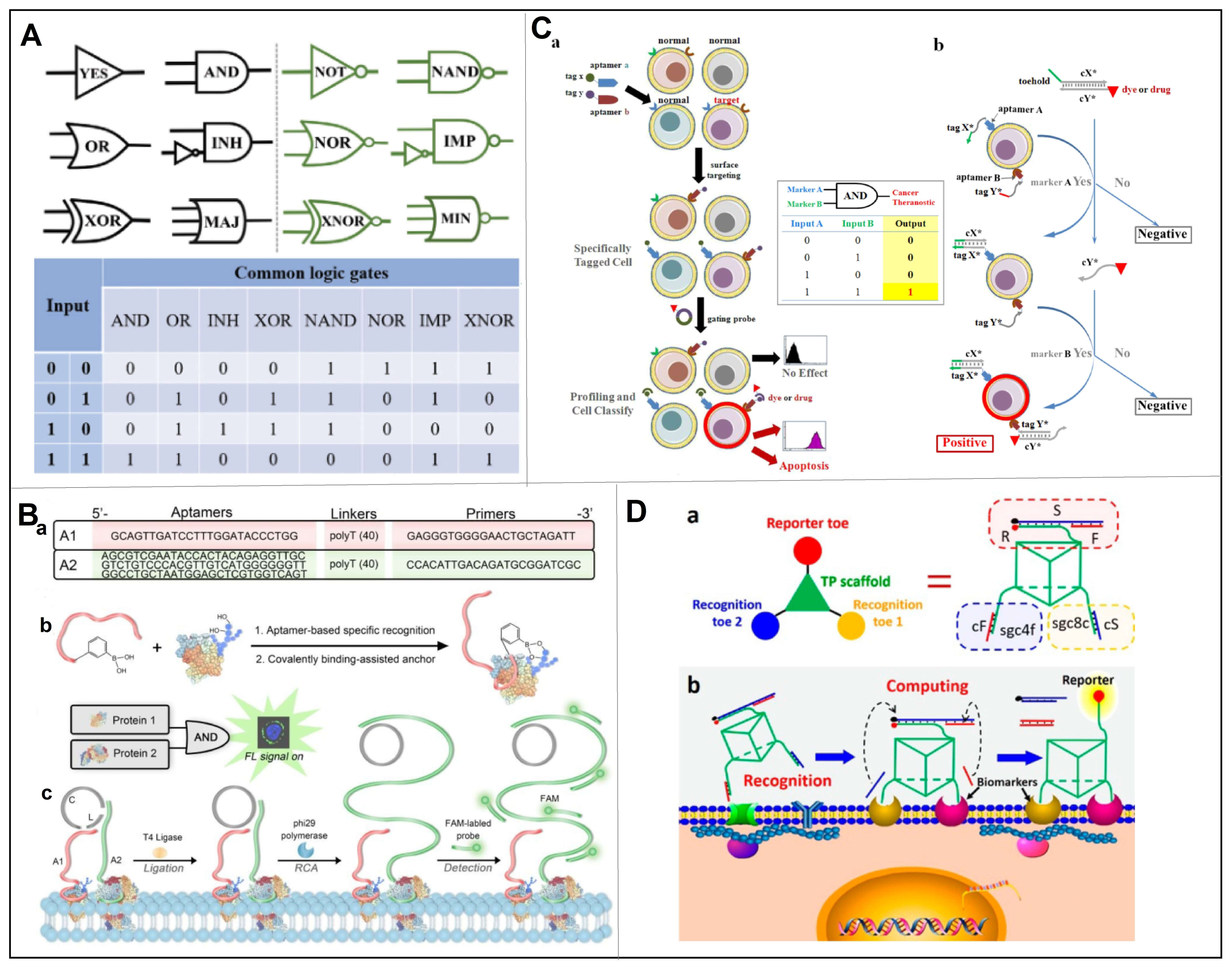 Chemosensors 11 00099 g004