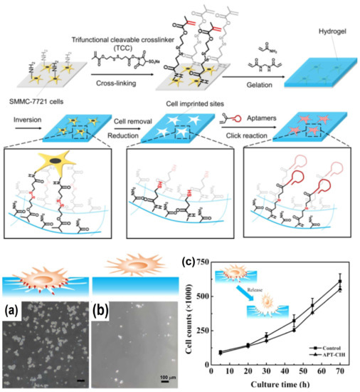 Chemosensors 11 00099 g005