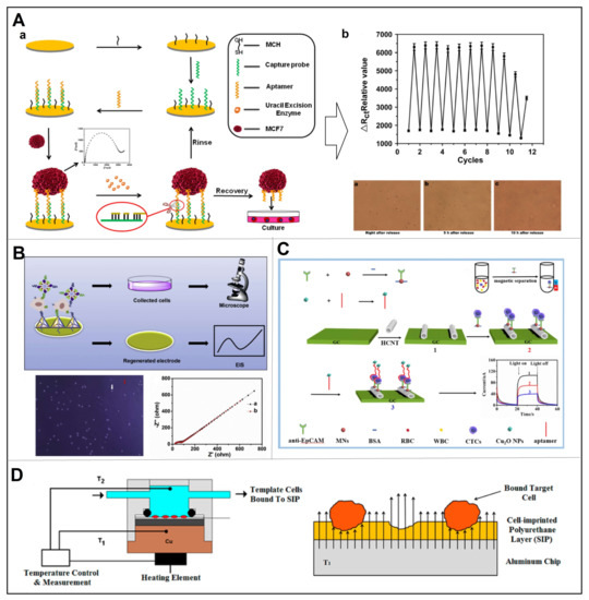 Chemosensors 11 00099 g007