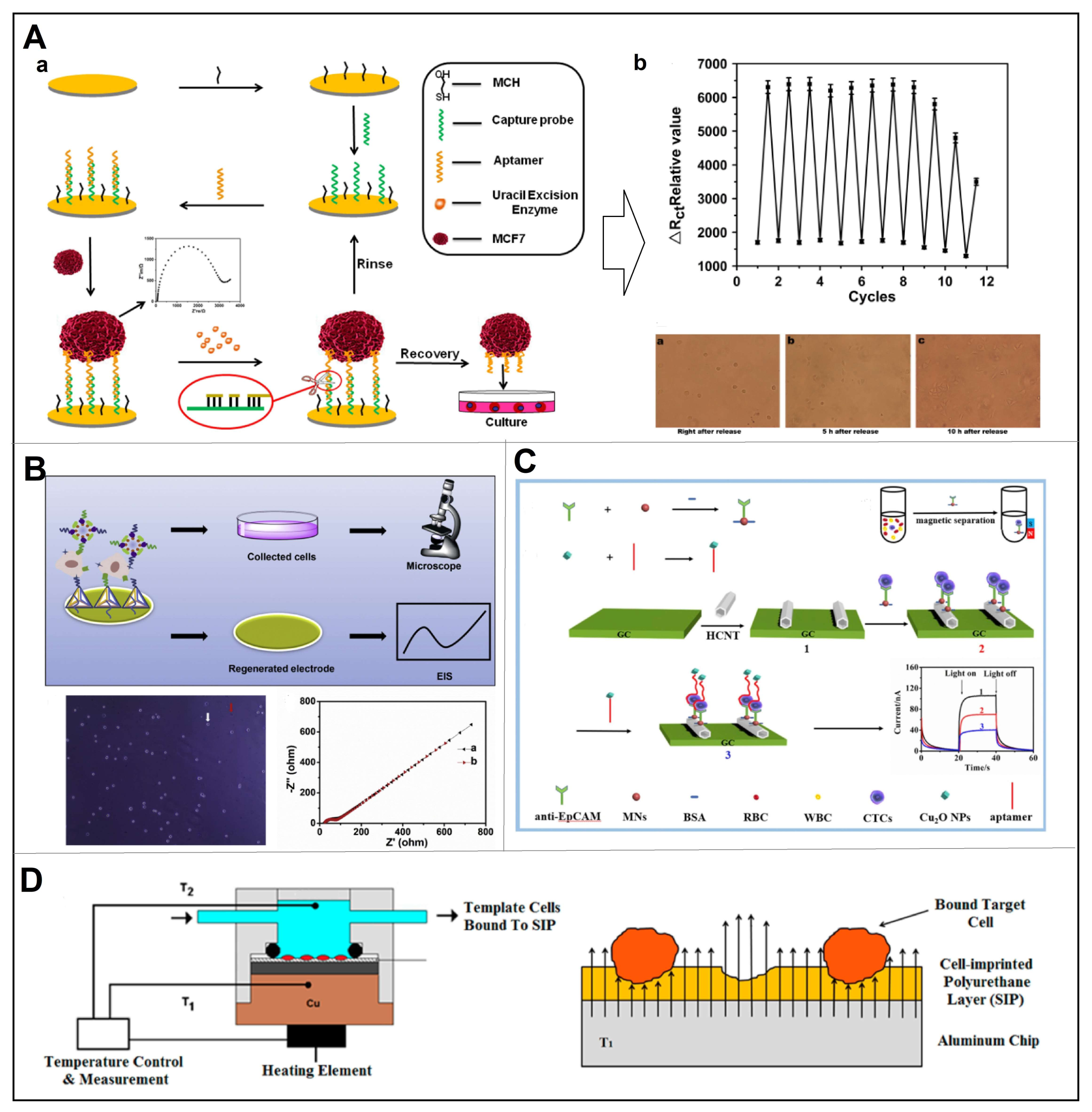 Chemosensors 11 00099 g007