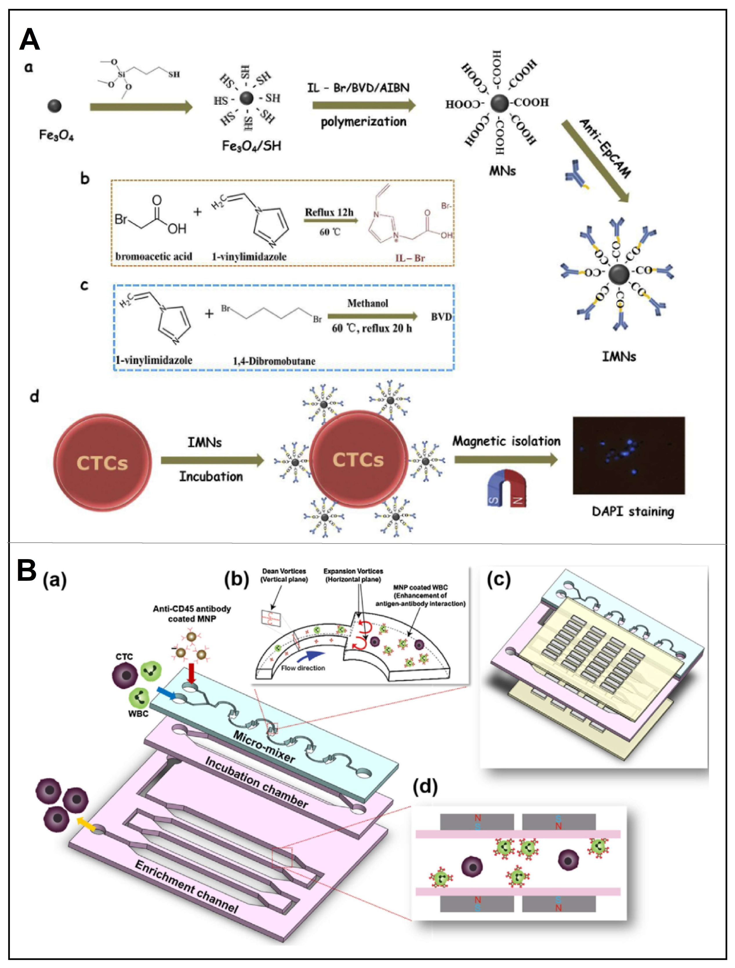 Chemosensors 11 00099 g008
