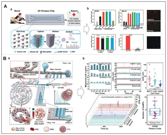 Chemosensors 11 00099 g009