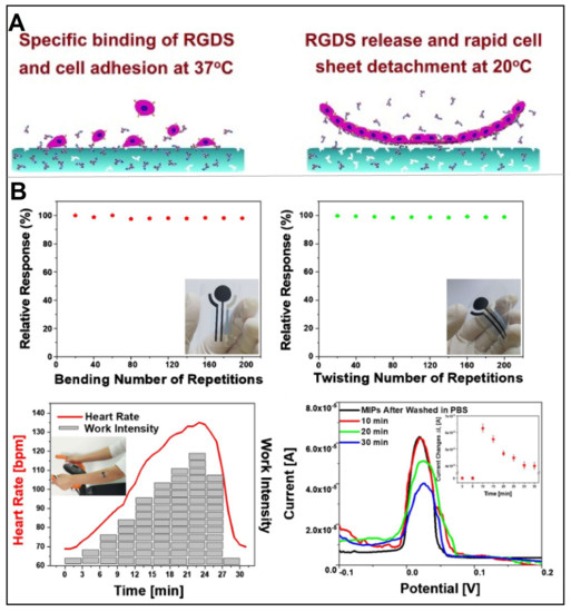 Chemosensors 11 00099 g011