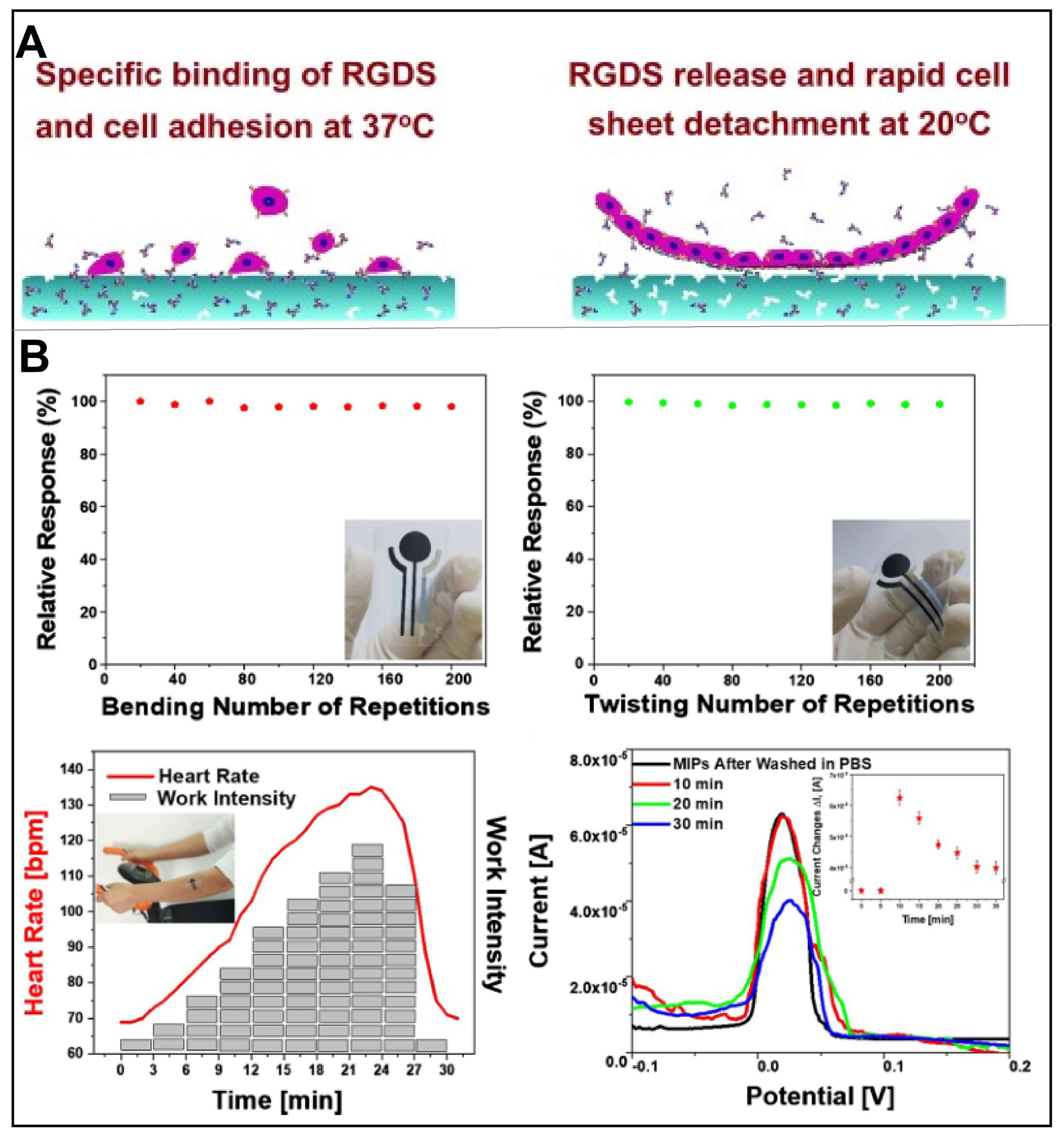 Chemosensors 11 00099 g011