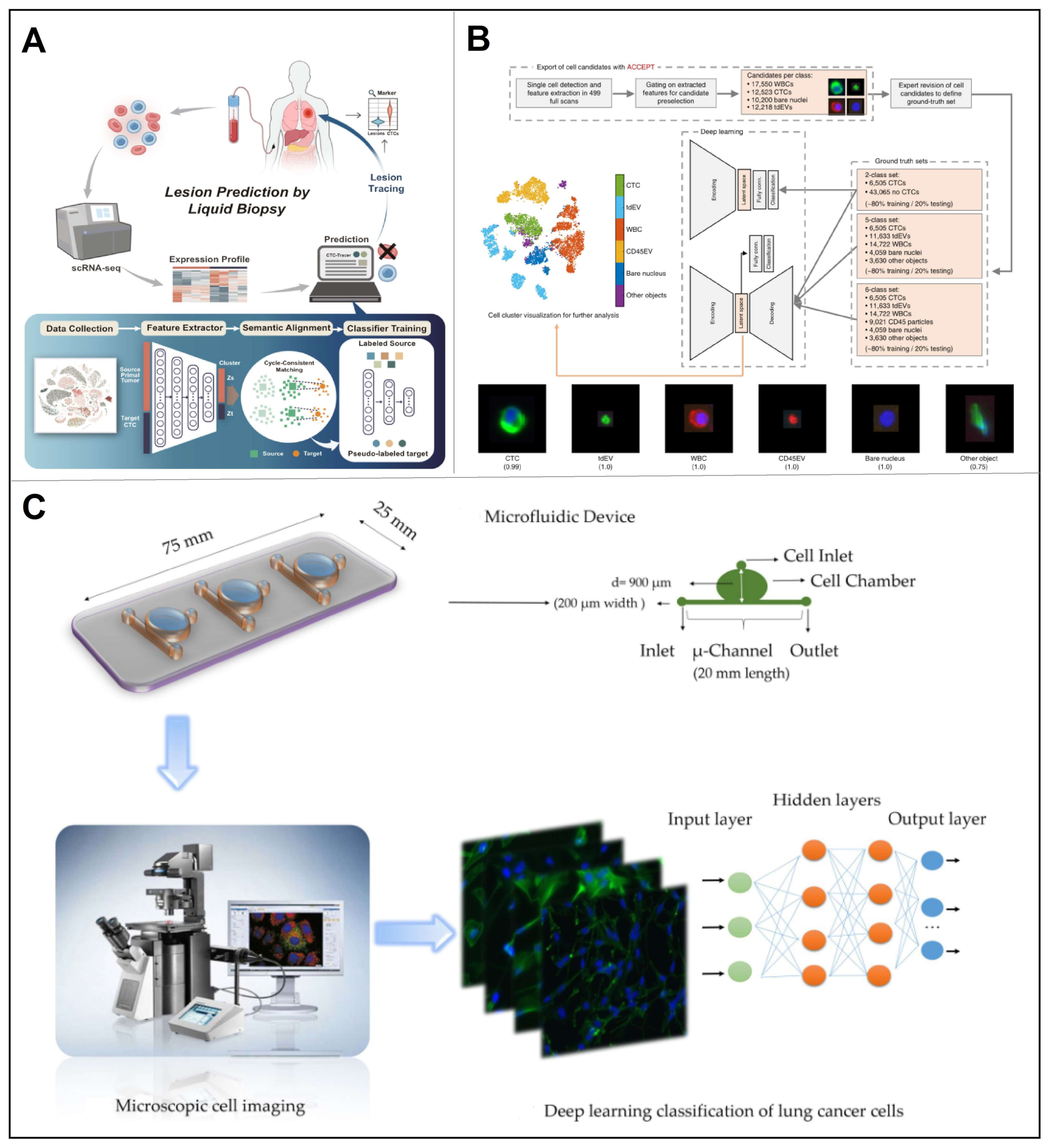 Chemosensors 11 00099 g012