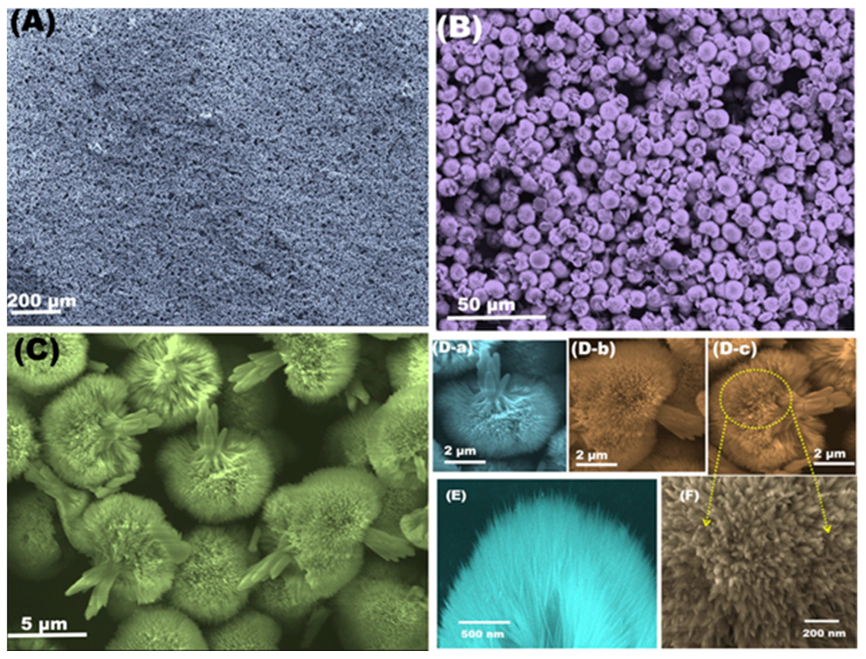 Chemosensors 11 00103 g010