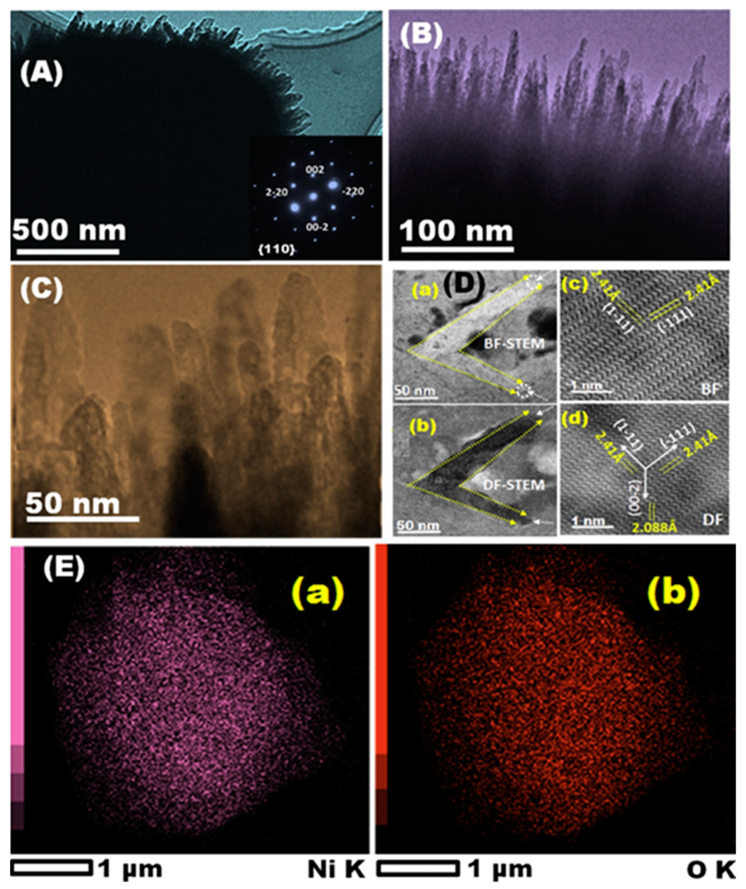 Chemosensors 11 00103 g011