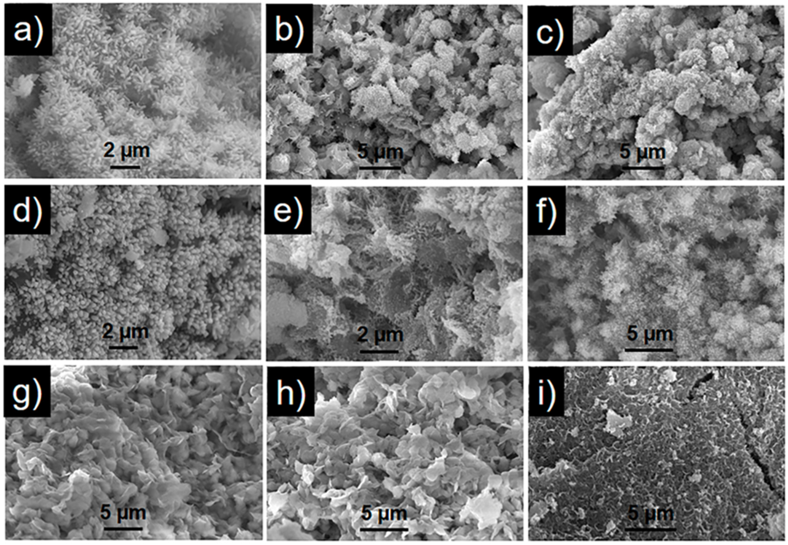 Chemosensors 11 00105 g005