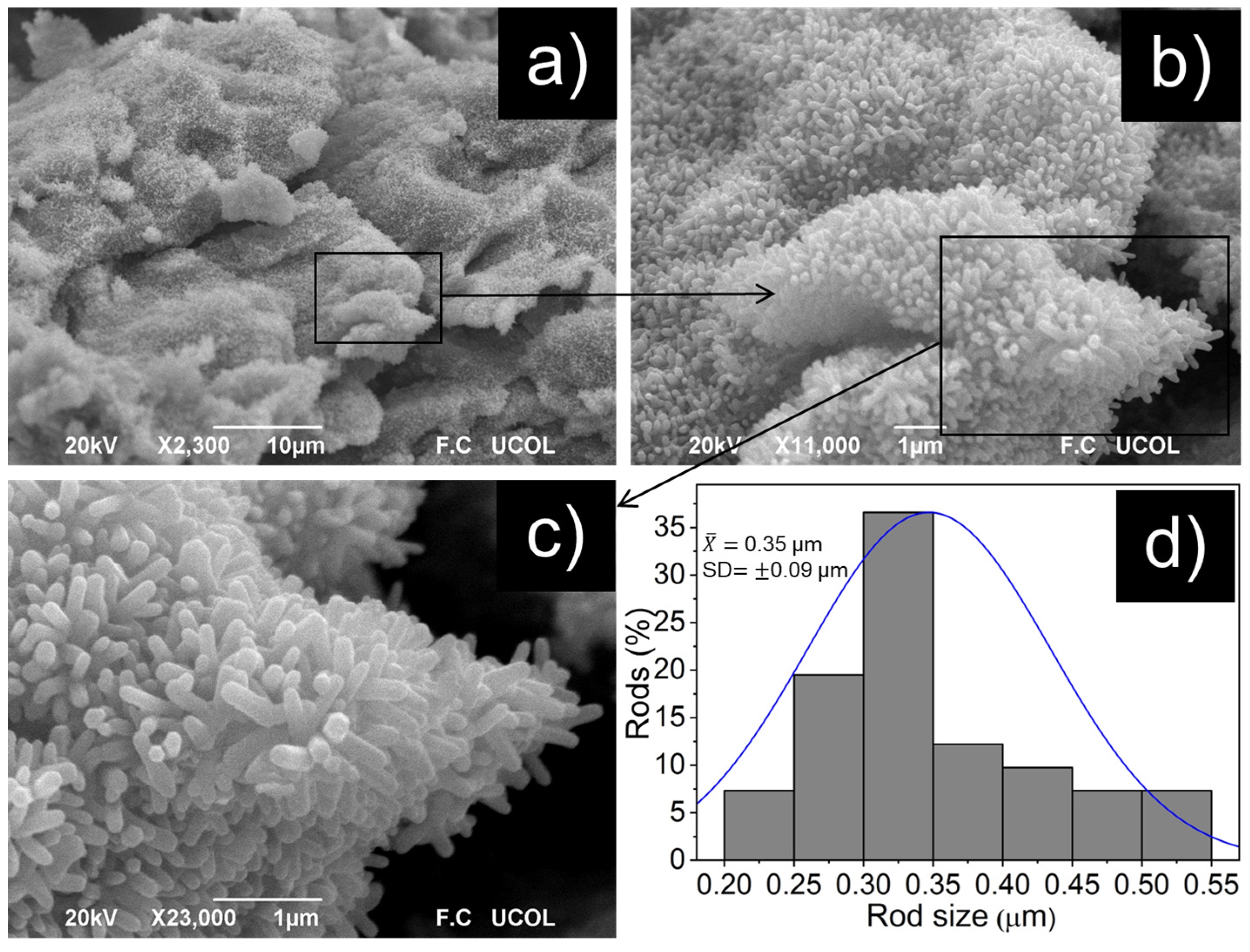Chemosensors 11 00105 g006
