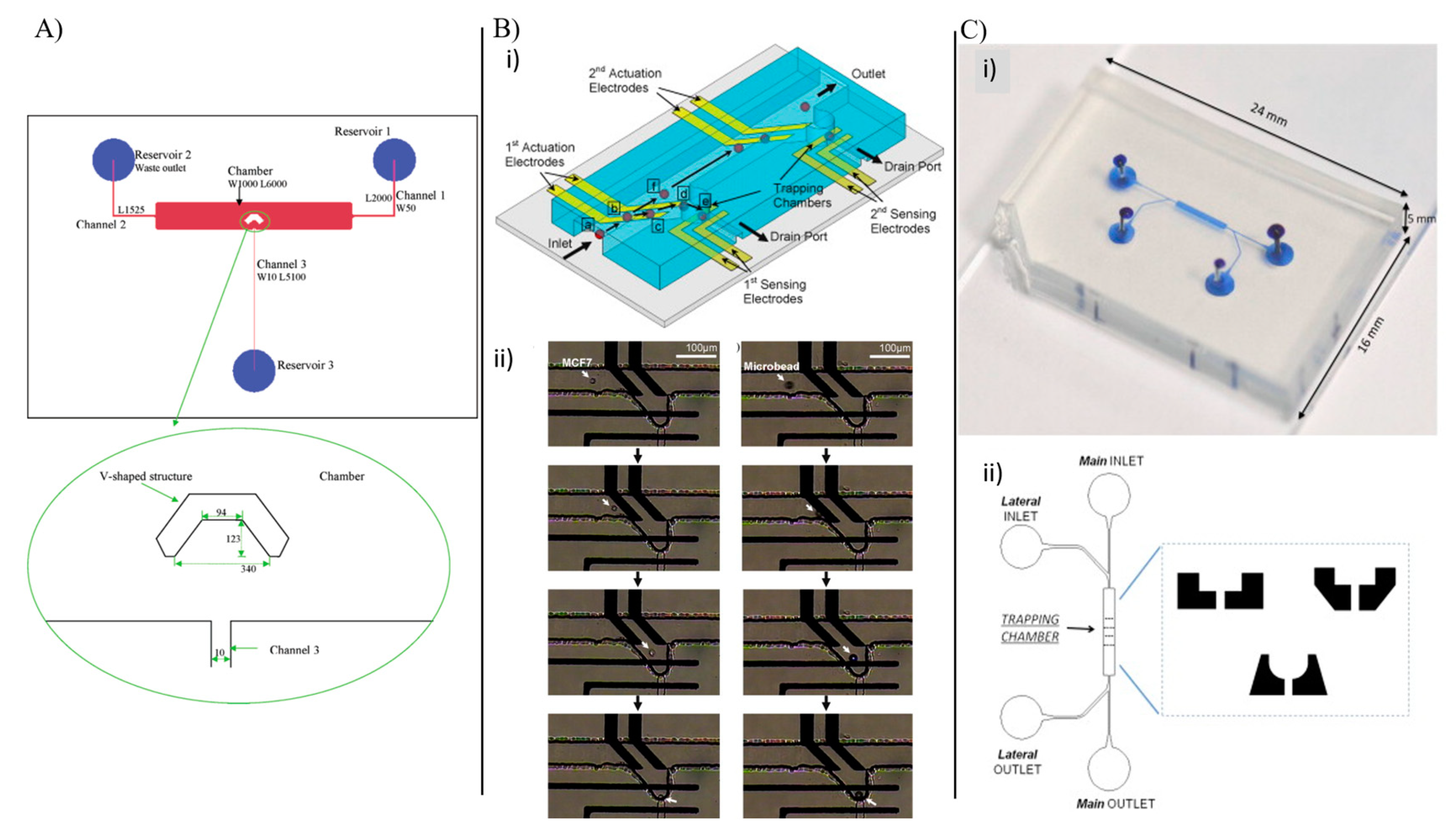 Chemosensors 11 00107 g001