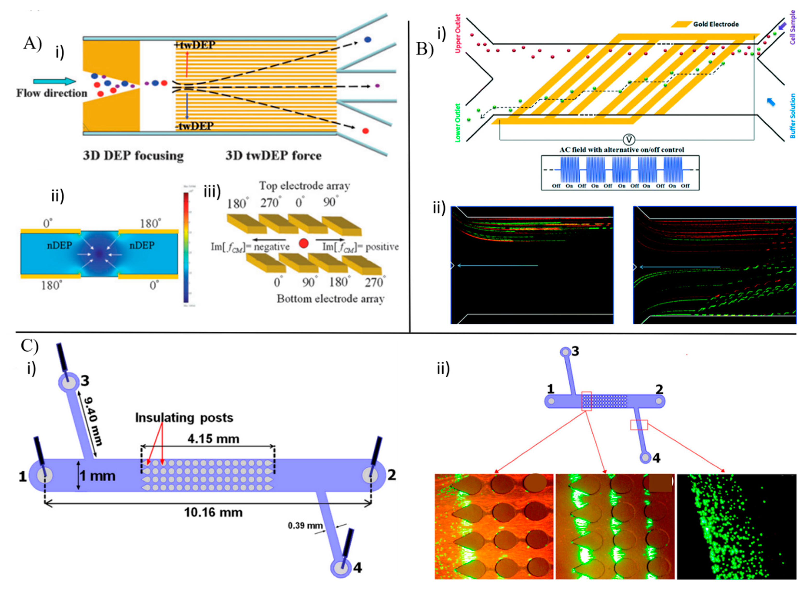 Chemosensors 11 00107 g002