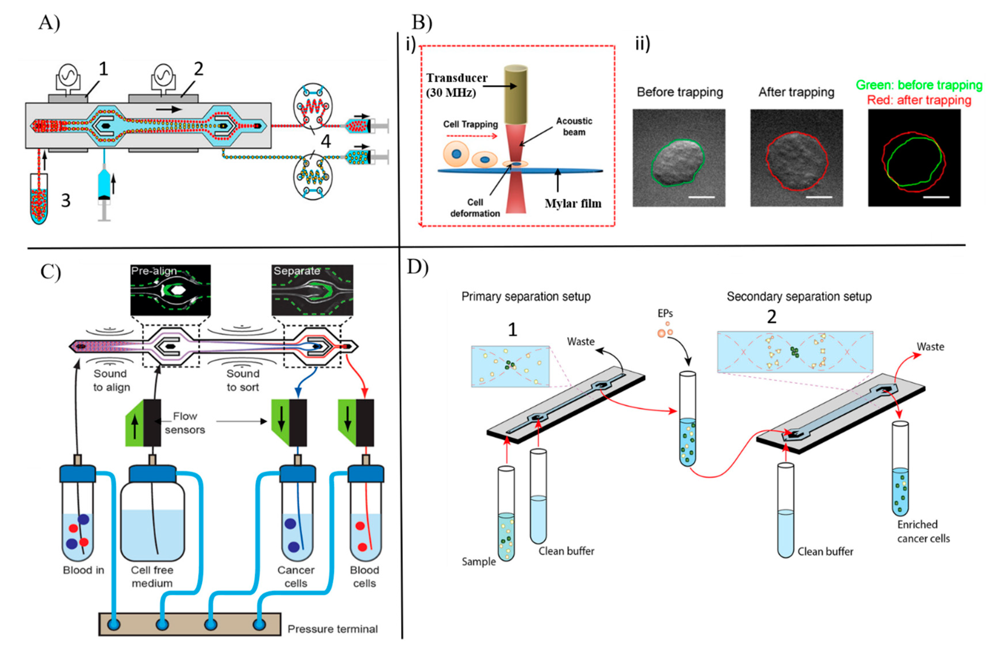 Chemosensors 11 00107 g004
