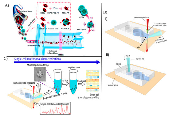 Chemosensors 11 00107 g005