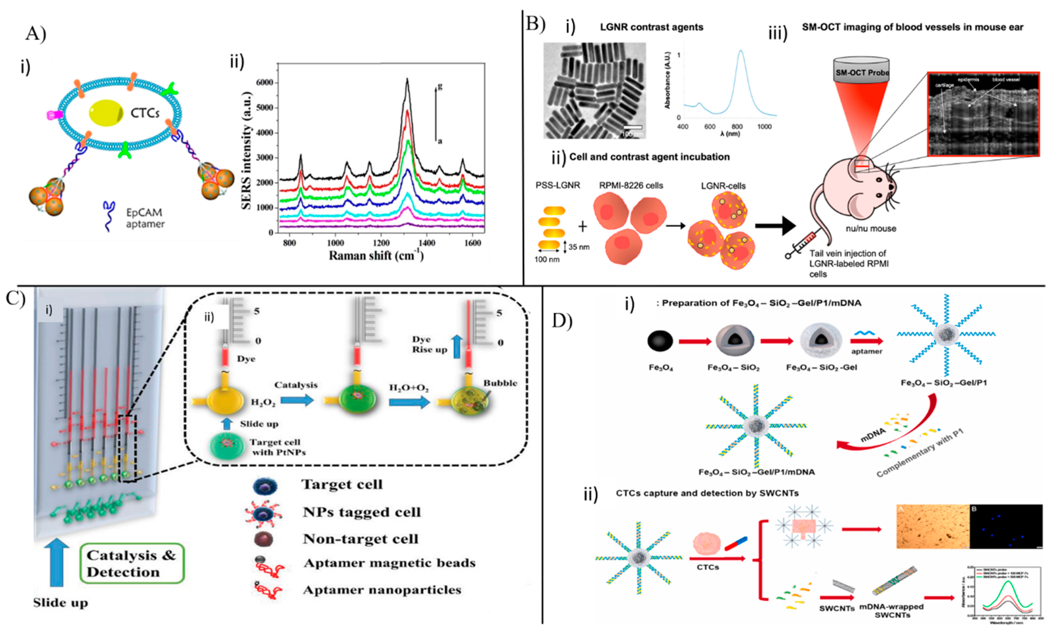 Chemosensors 11 00107 g008