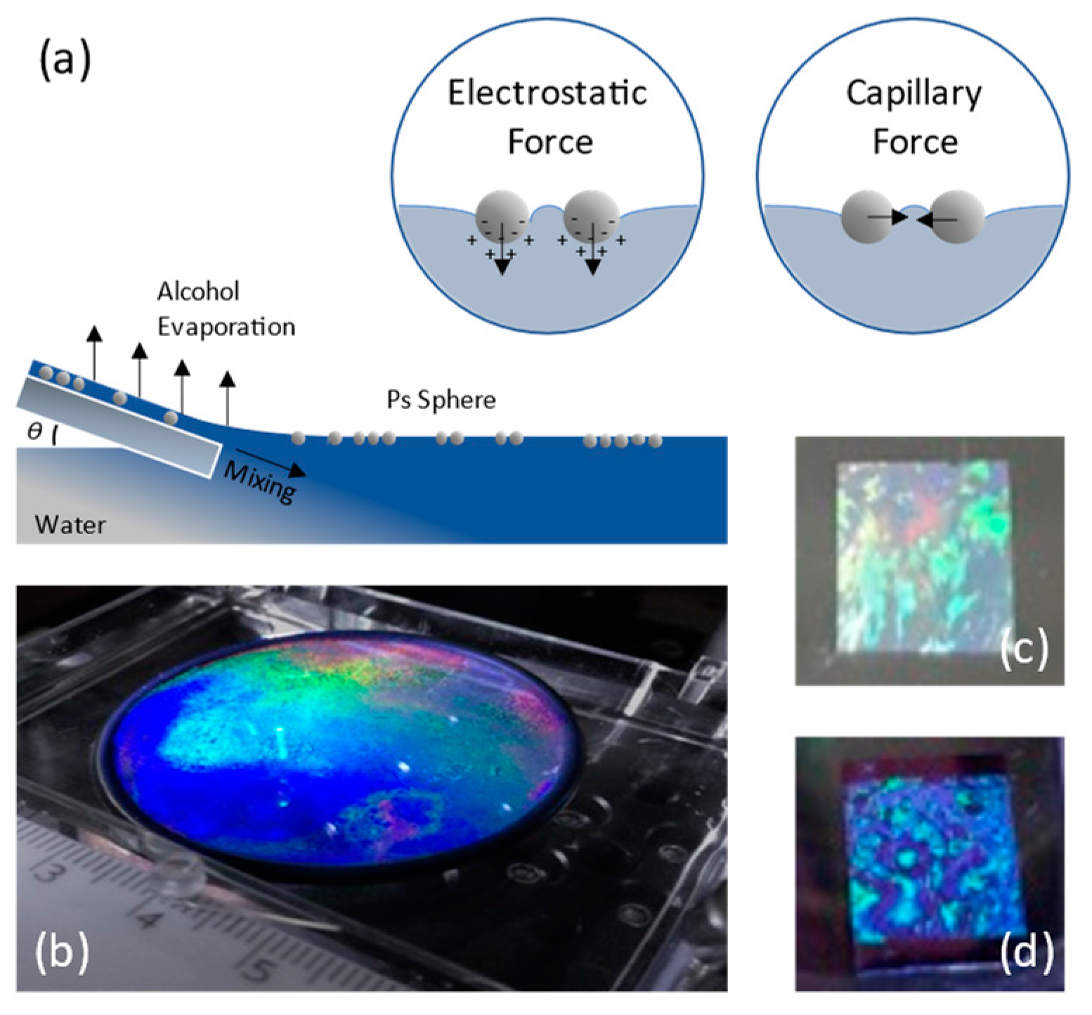 Chemosensors 11 00109 g001