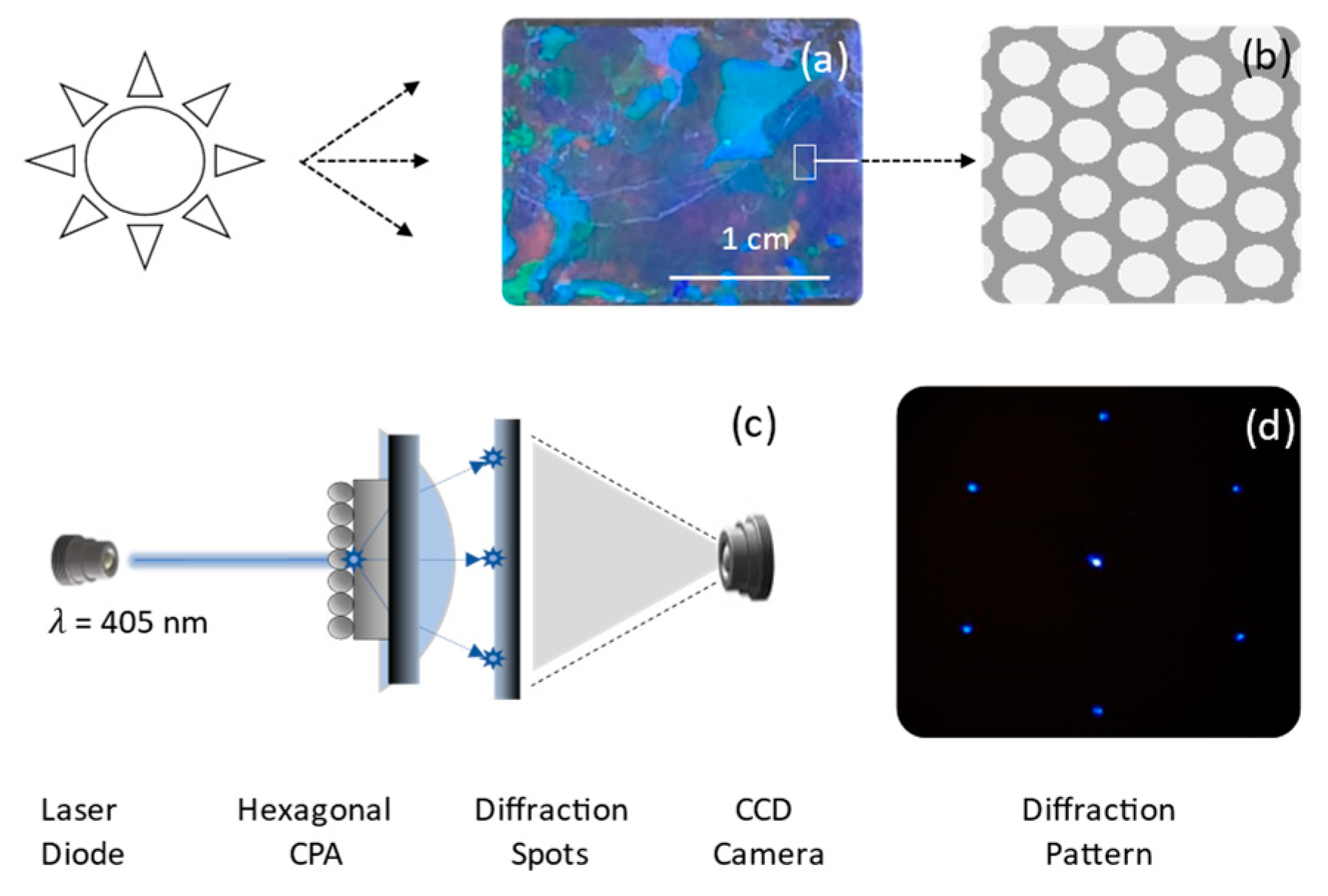 Chemosensors 11 00109 g002