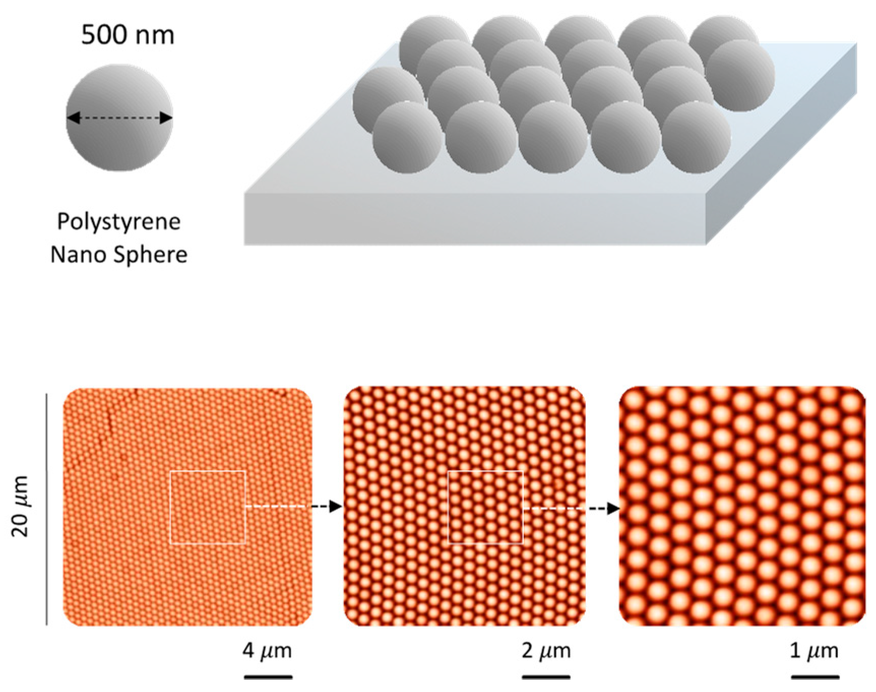 Chemosensors 11 00109 g003