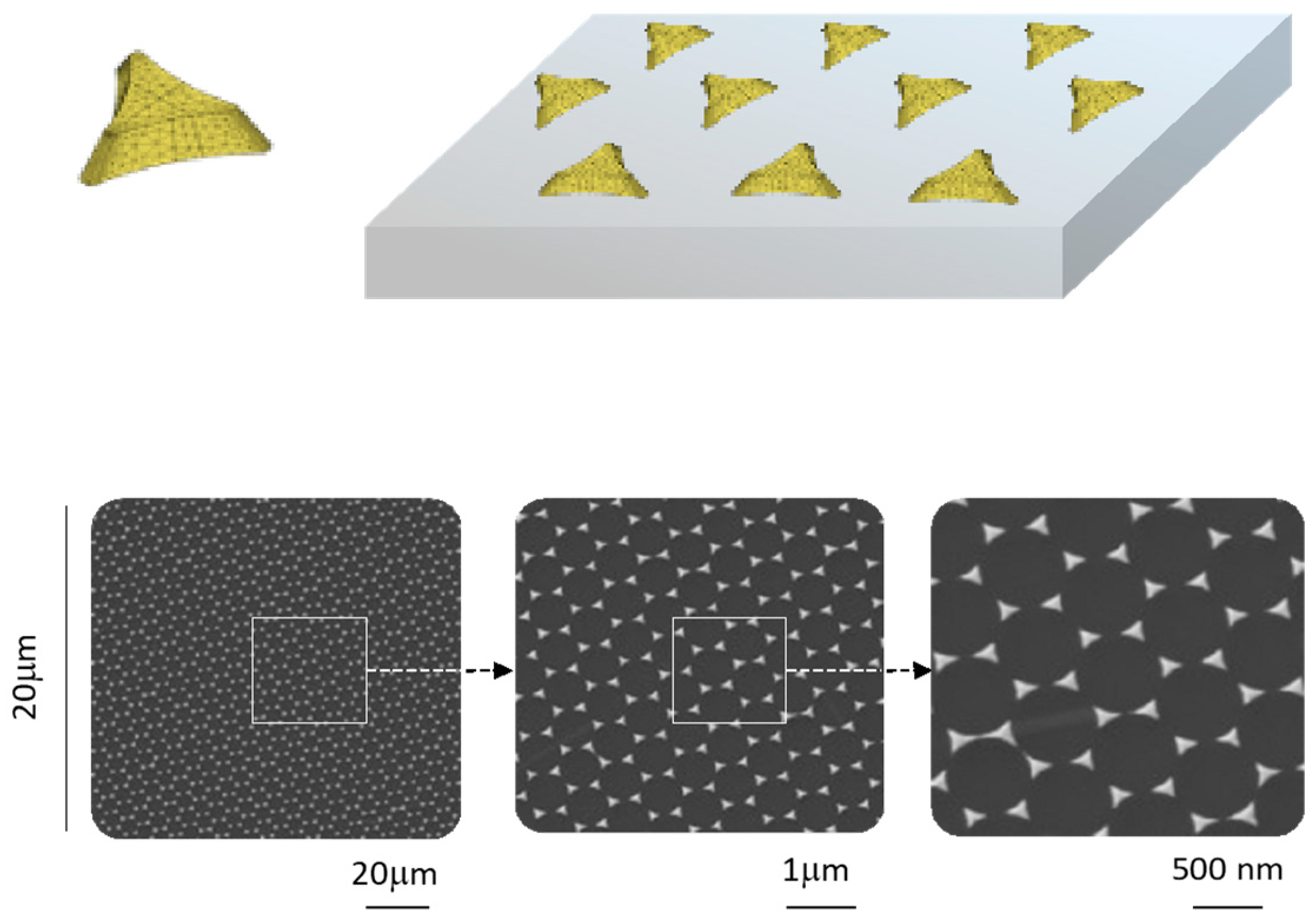 Chemosensors 11 00109 g004