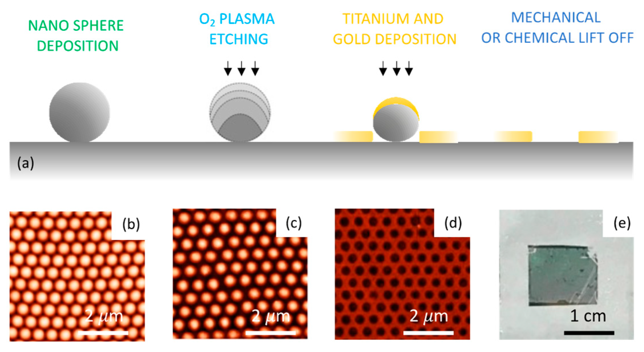 Chemosensors 11 00109 g006