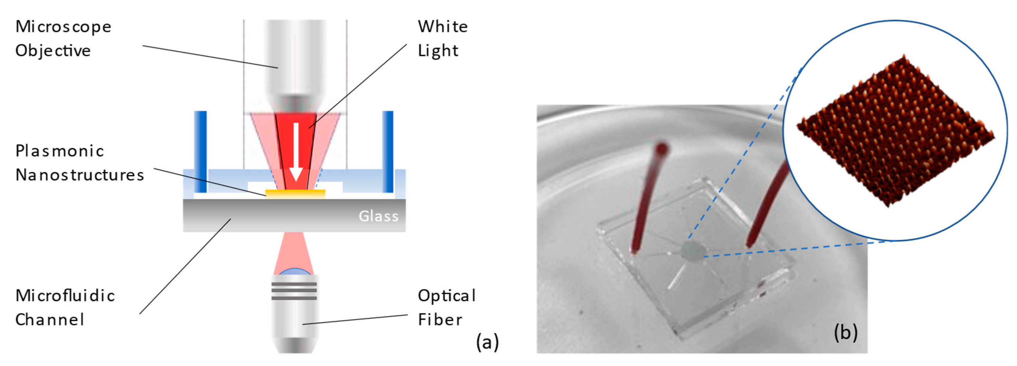 Chemosensors 11 00109 g008