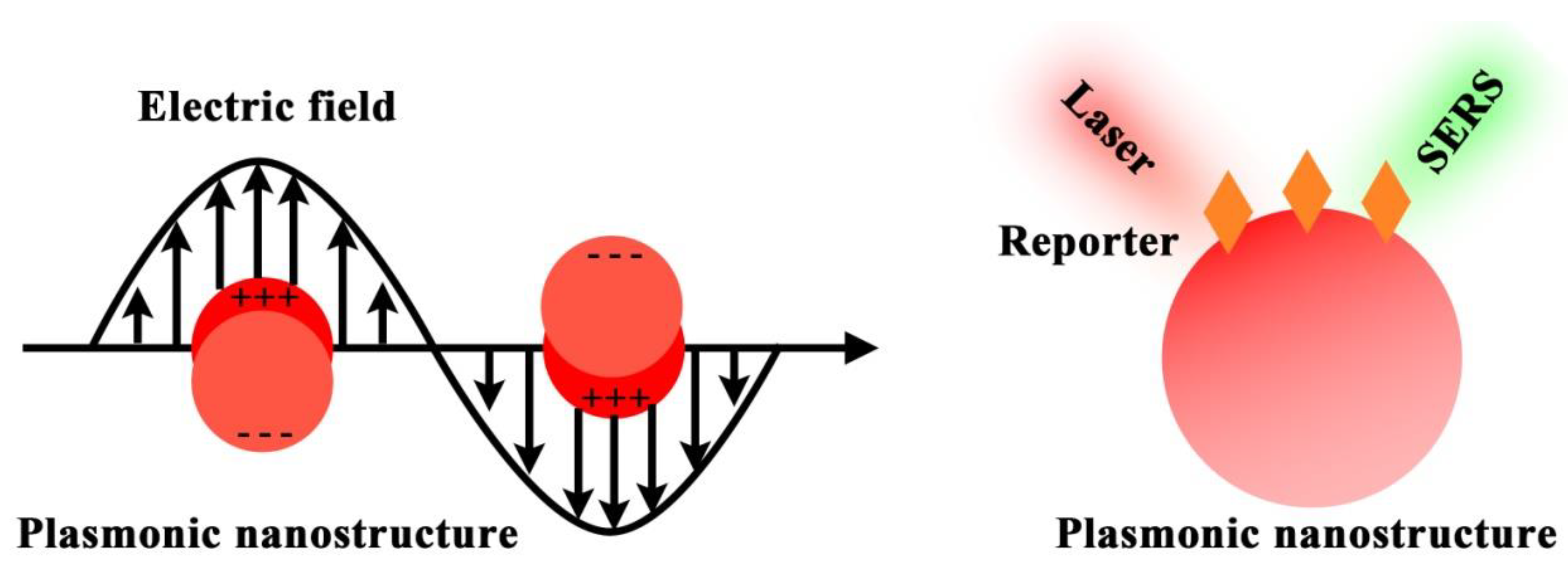 Chemosensors 11 00110 g002