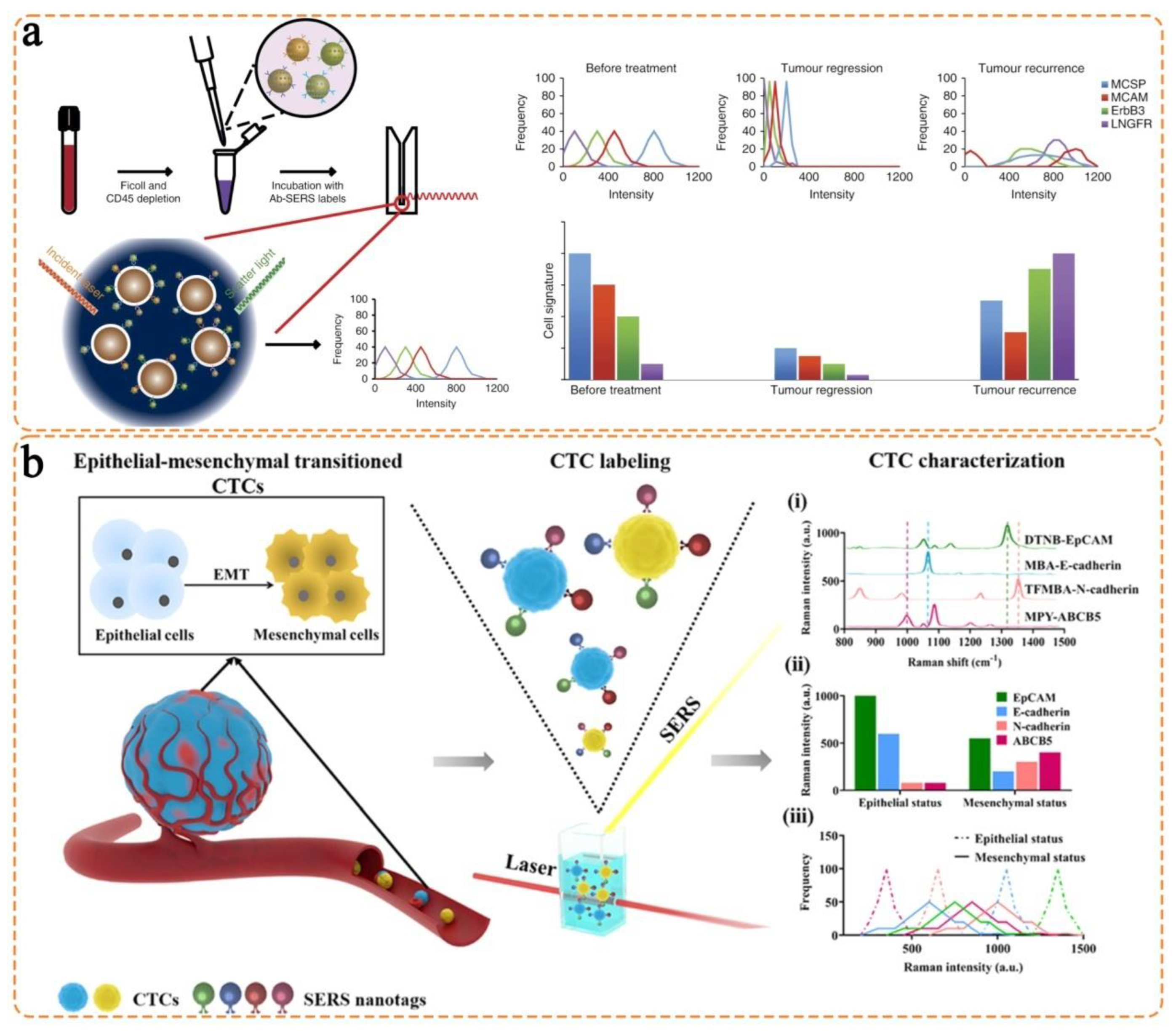 Chemosensors 11 00110 g003