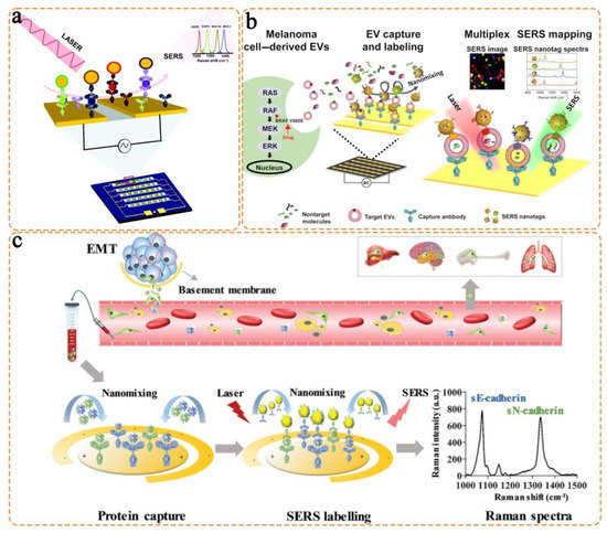 Chemosensors 11 00110 g004