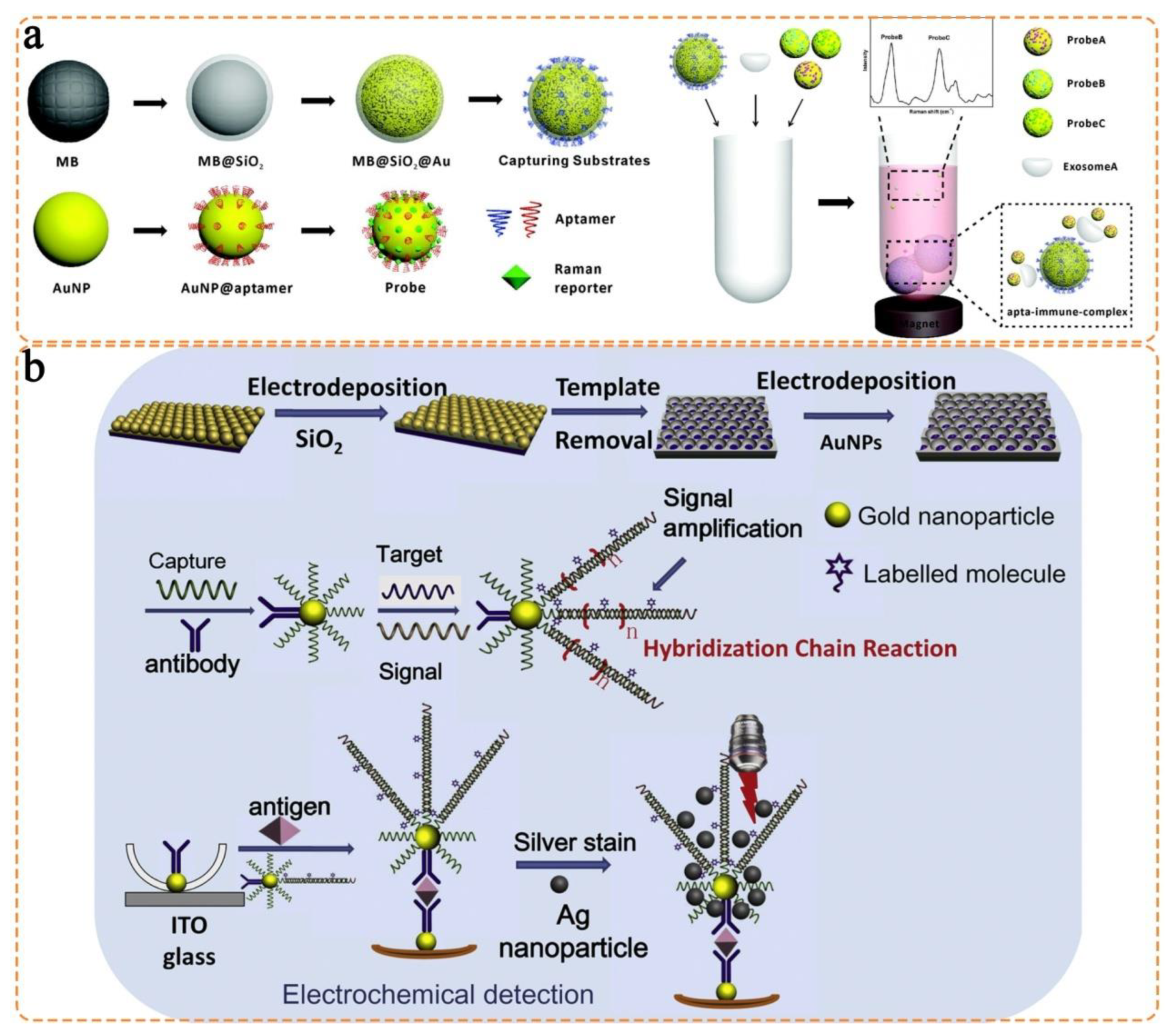 Chemosensors 11 00110 g005