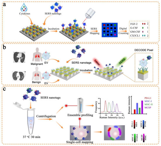 Chemosensors 11 00110 g007