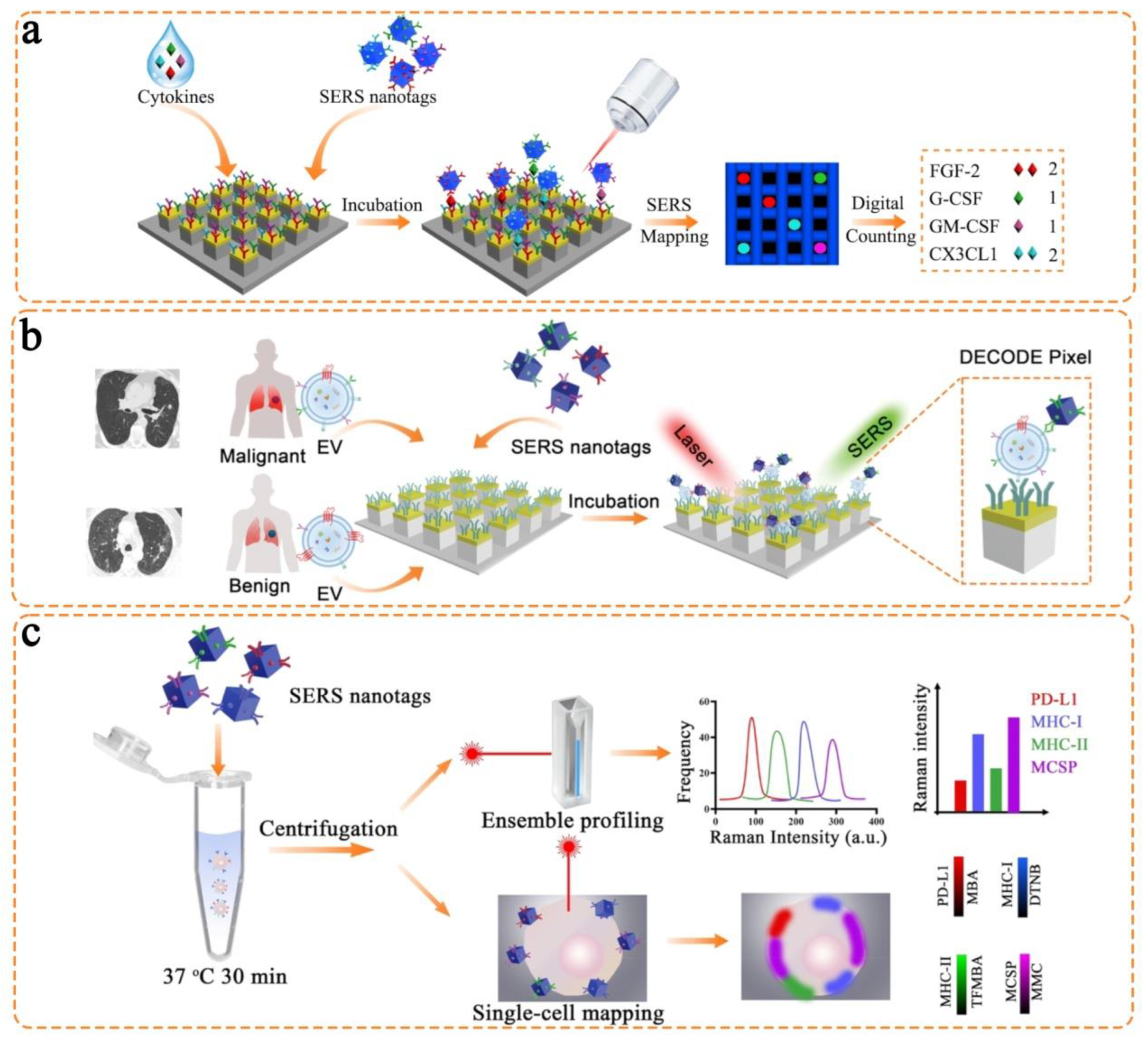 Chemosensors 11 00110 g007