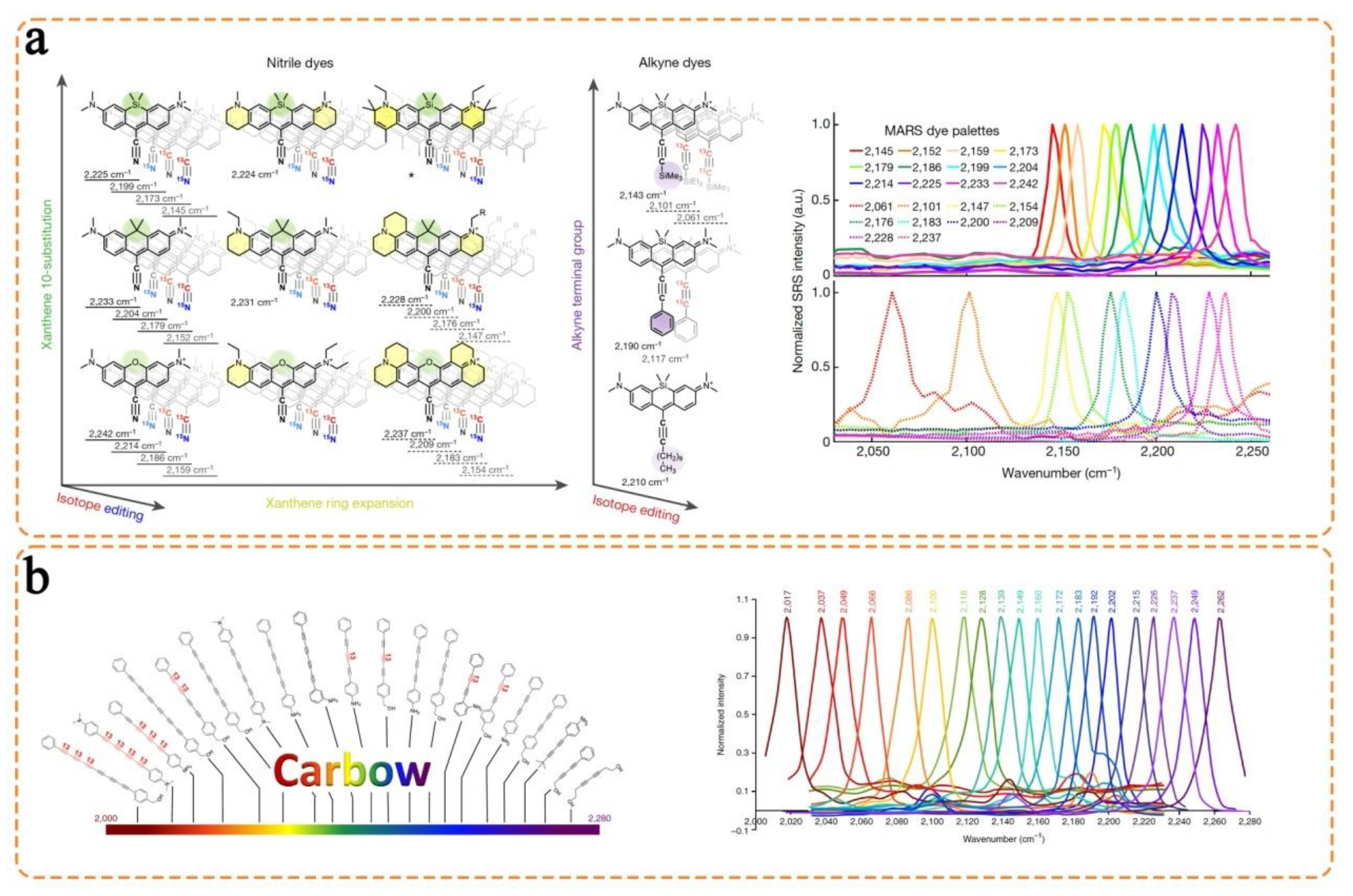 Chemosensors 11 00110 g008