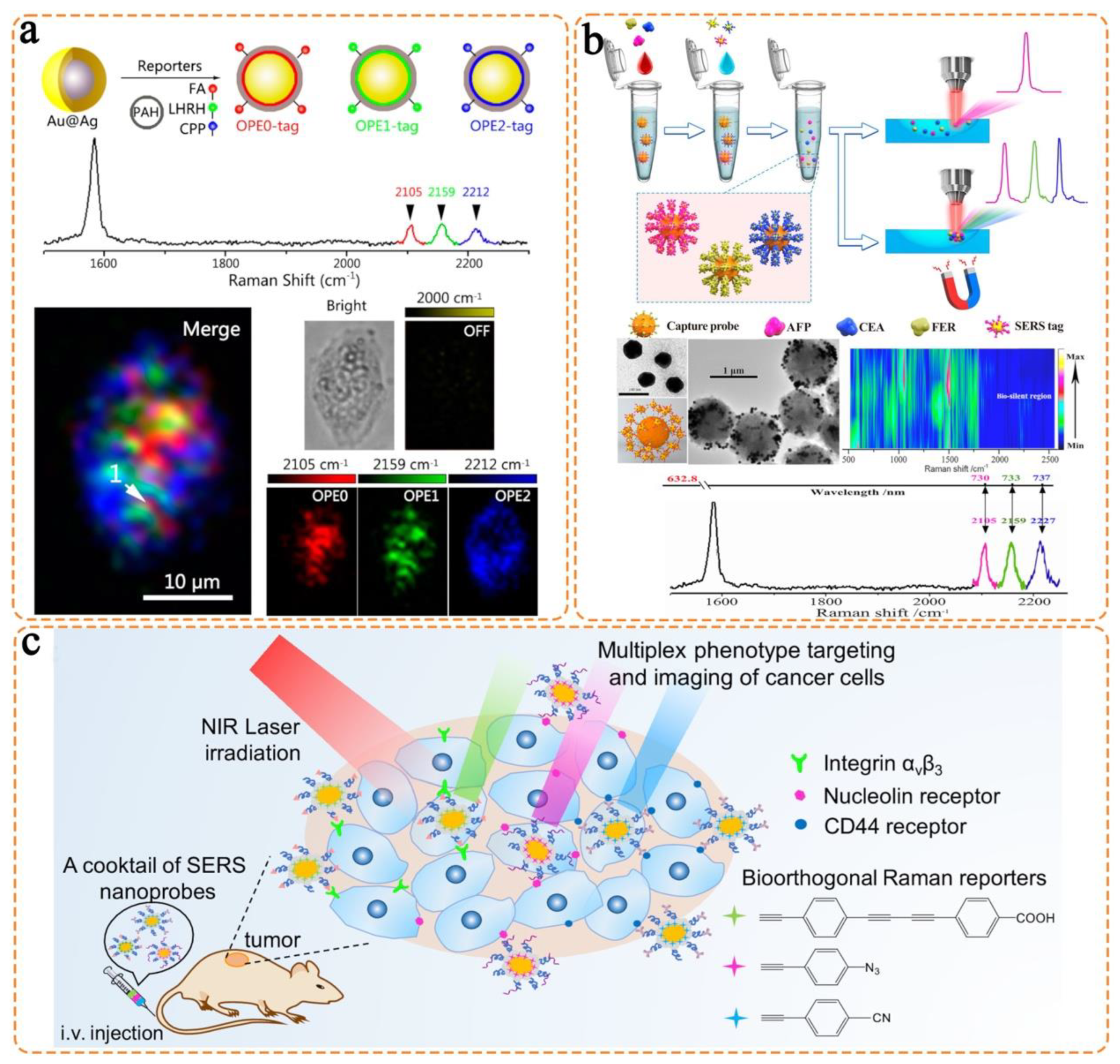 Chemosensors 11 00110 g009