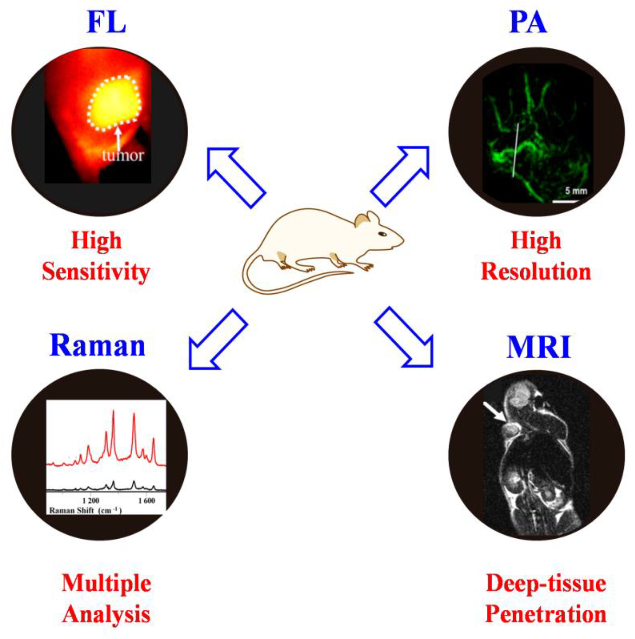 Chemosensors 11 00110 g010