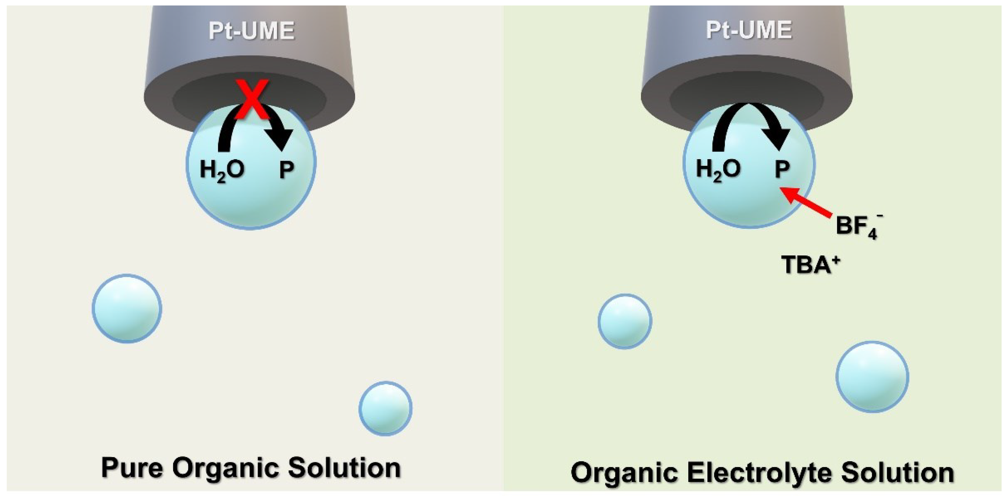 Chemosensors 11 00112 sch001