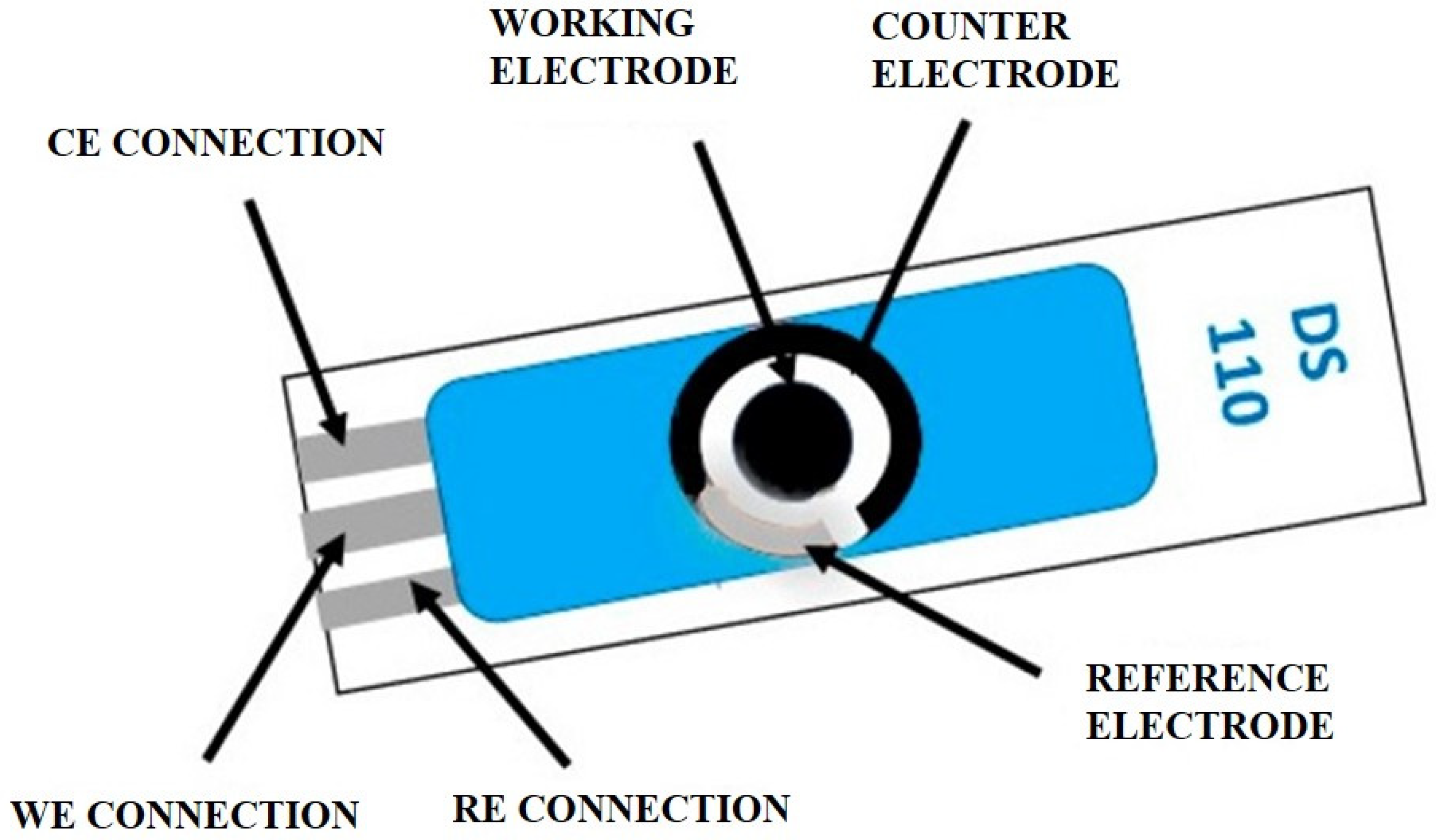Chemosensors 11 00113 g002