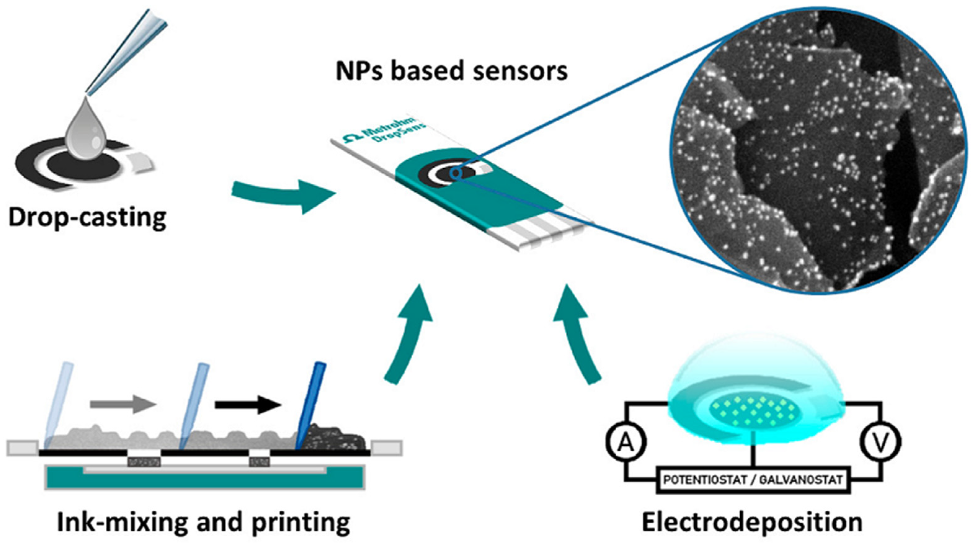 Chemosensors 11 00113 g004