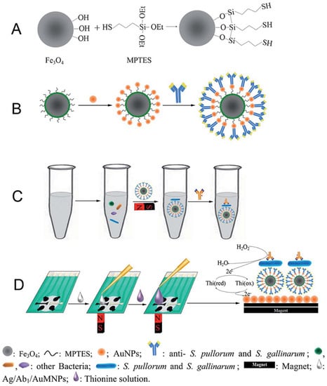Chemosensors 11 00113 g007 550