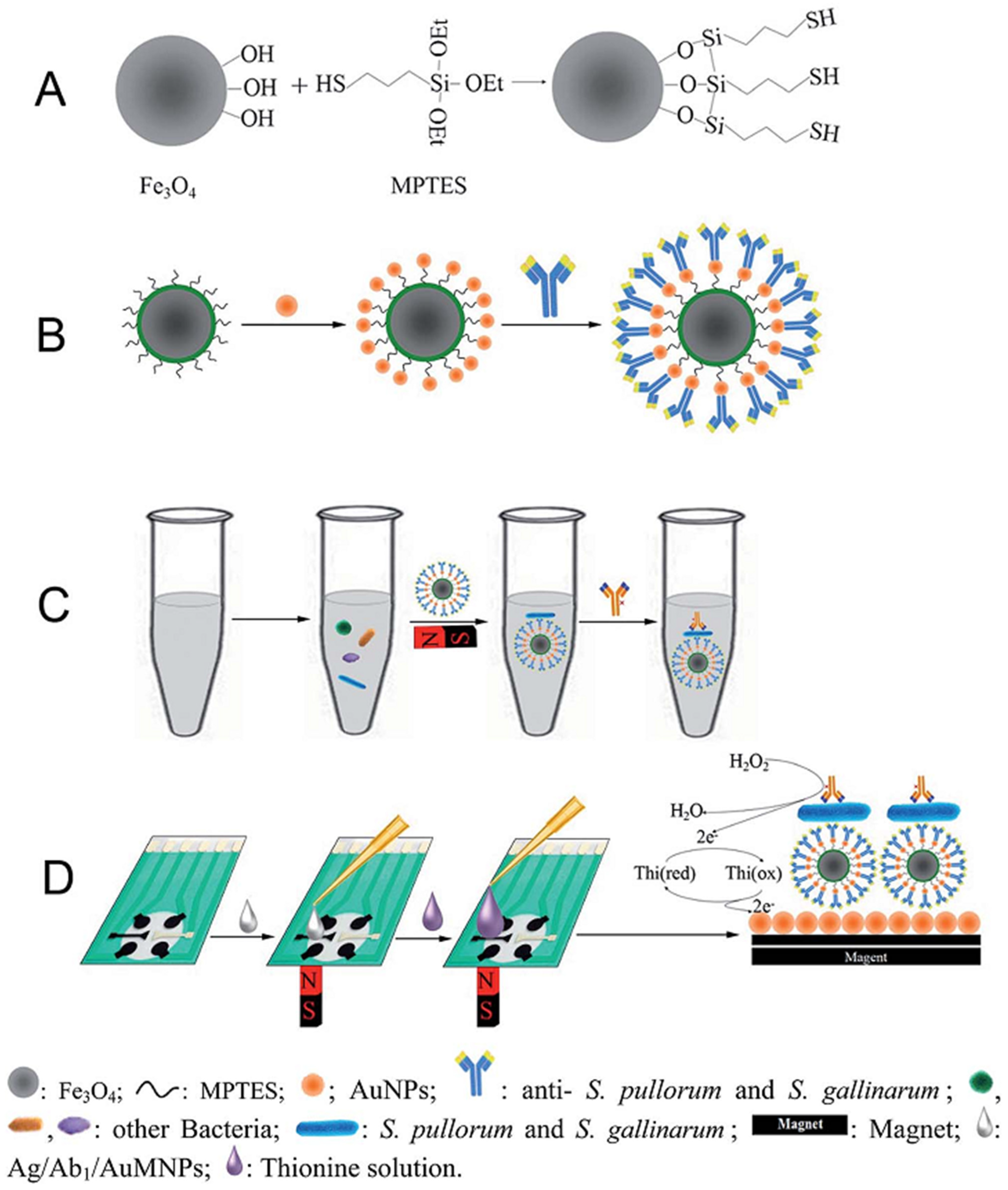 Chemosensors 11 00113 g007