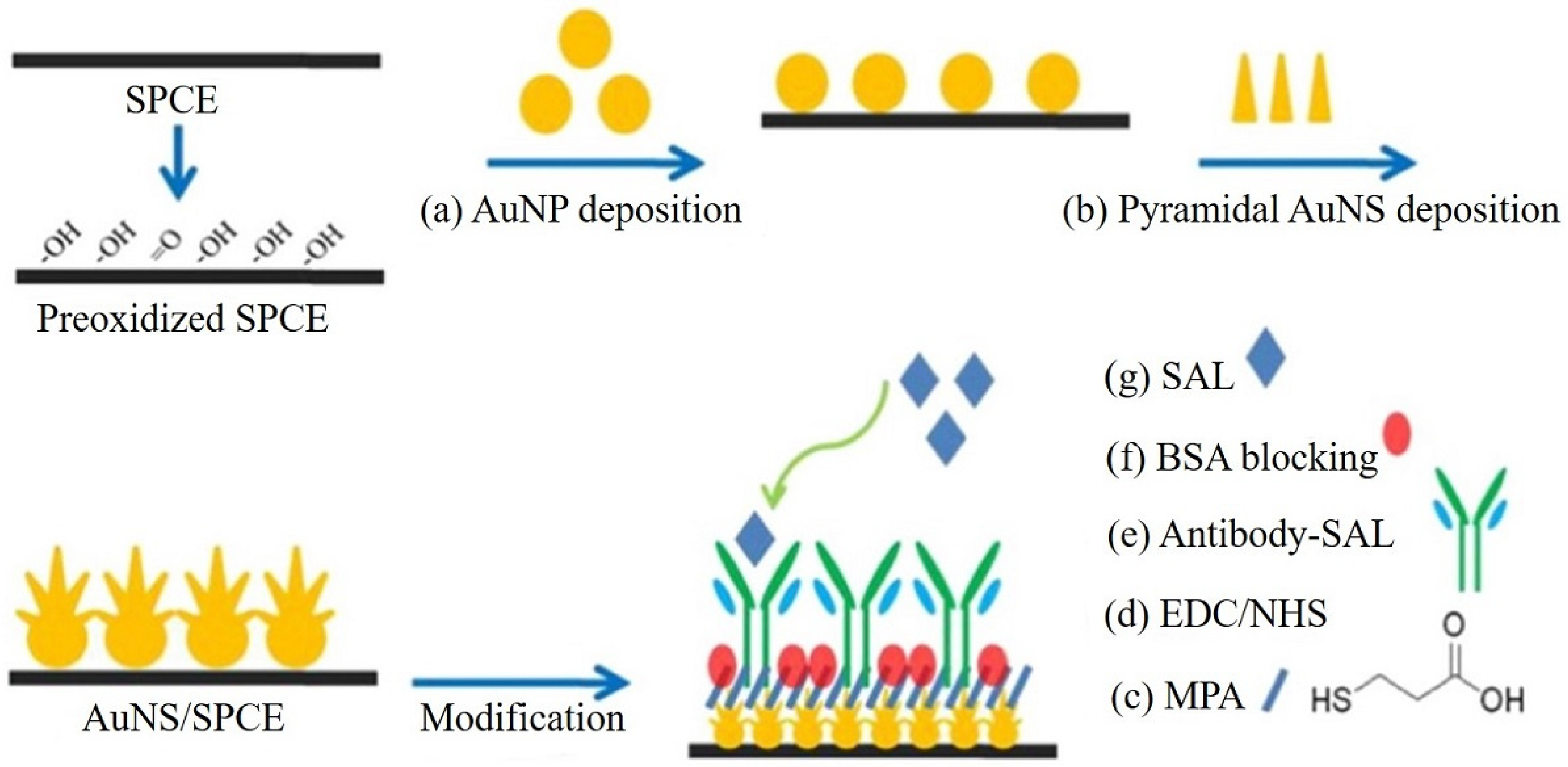 Chemosensors 11 00113 g008