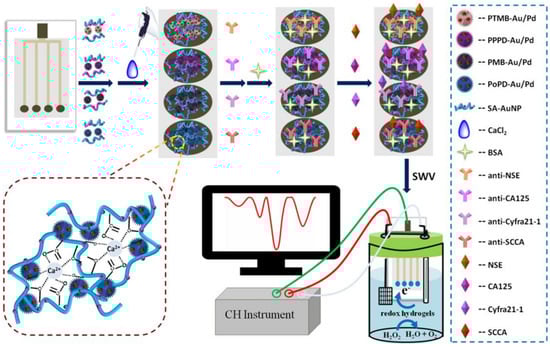 Chemosensors 11 00113 g009 550