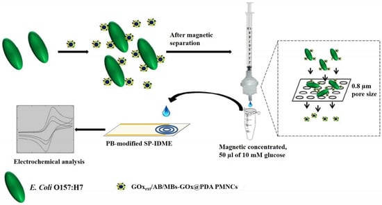 Chemosensors 11 00113 g011 550