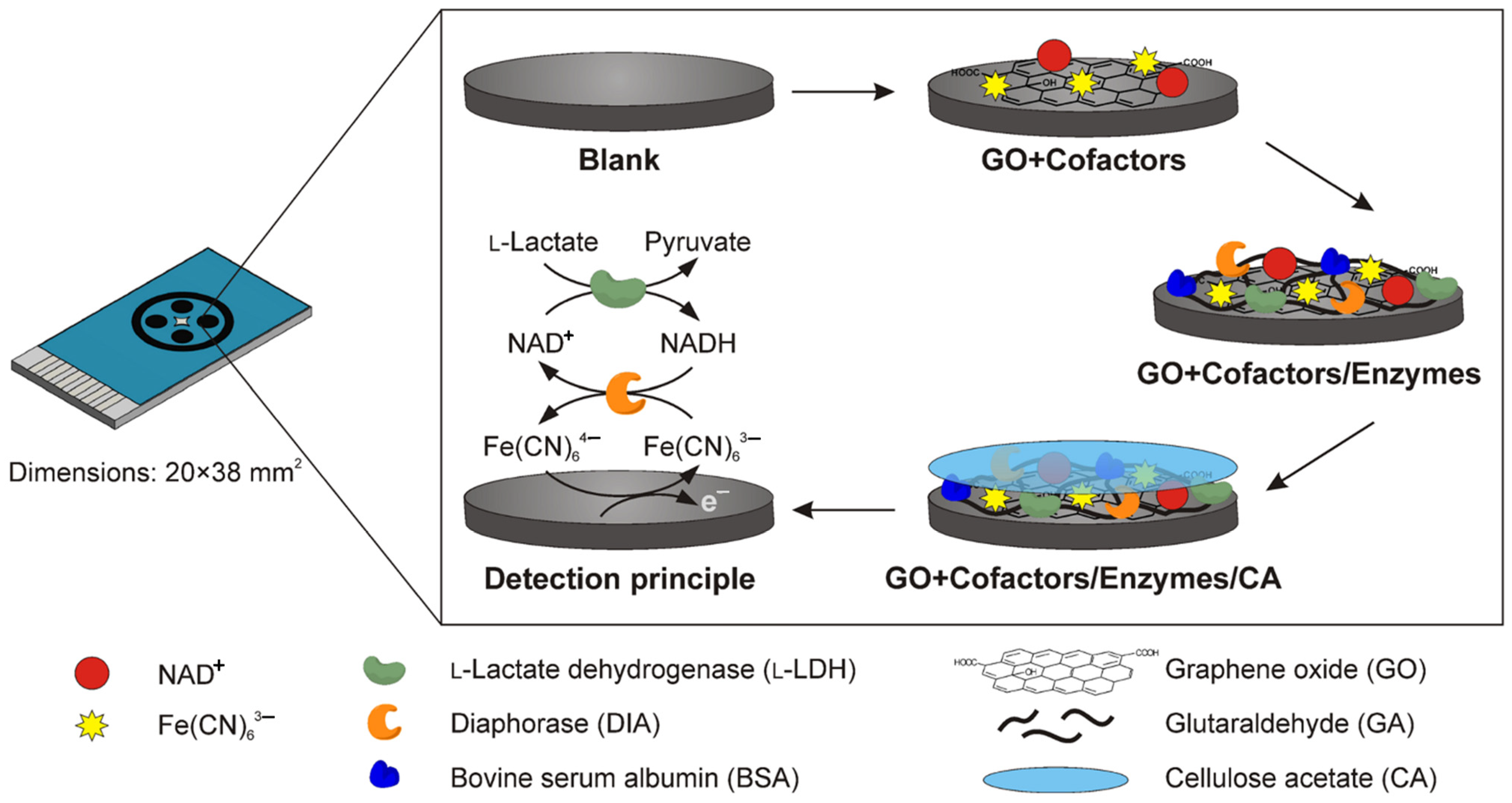 Chemosensors 11 00113 g013